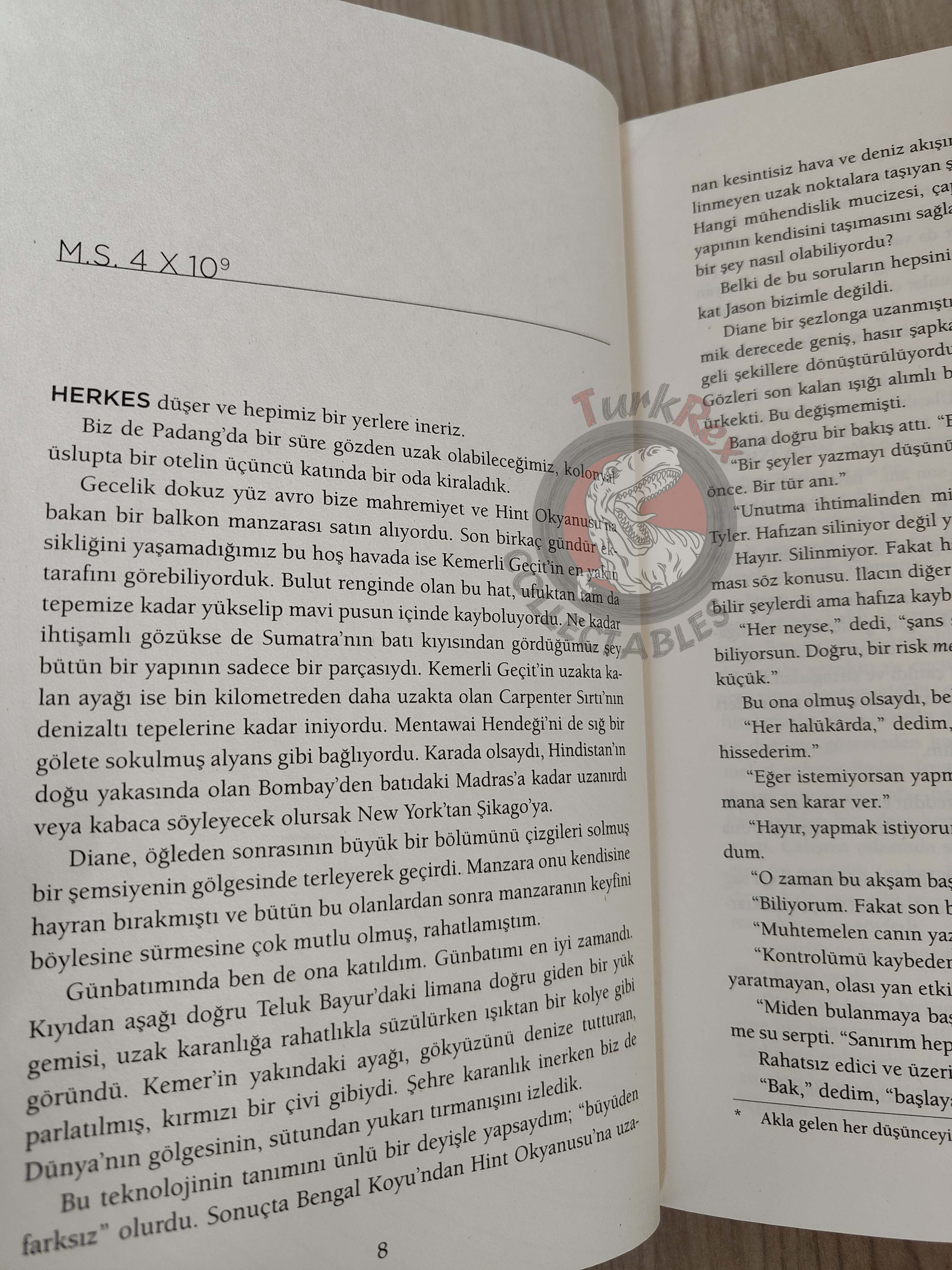 Robert Charles Wilson – Spin 2019 Turkish Book Turkey Spin Trilogy