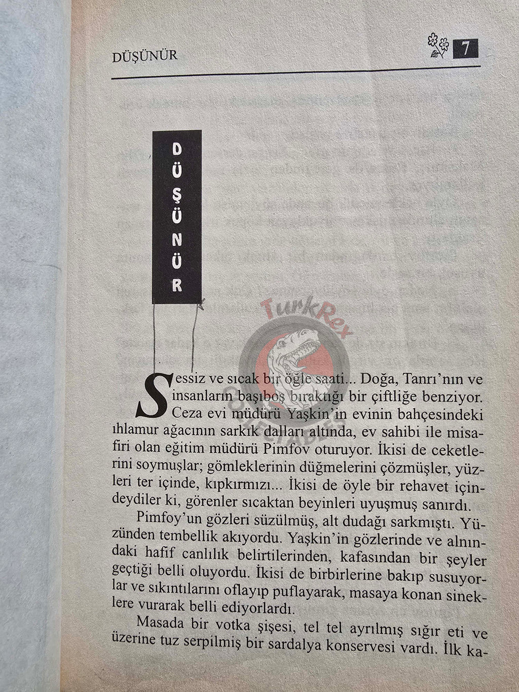 Anton Chekhov – Short Stories Turkish Book Turkey