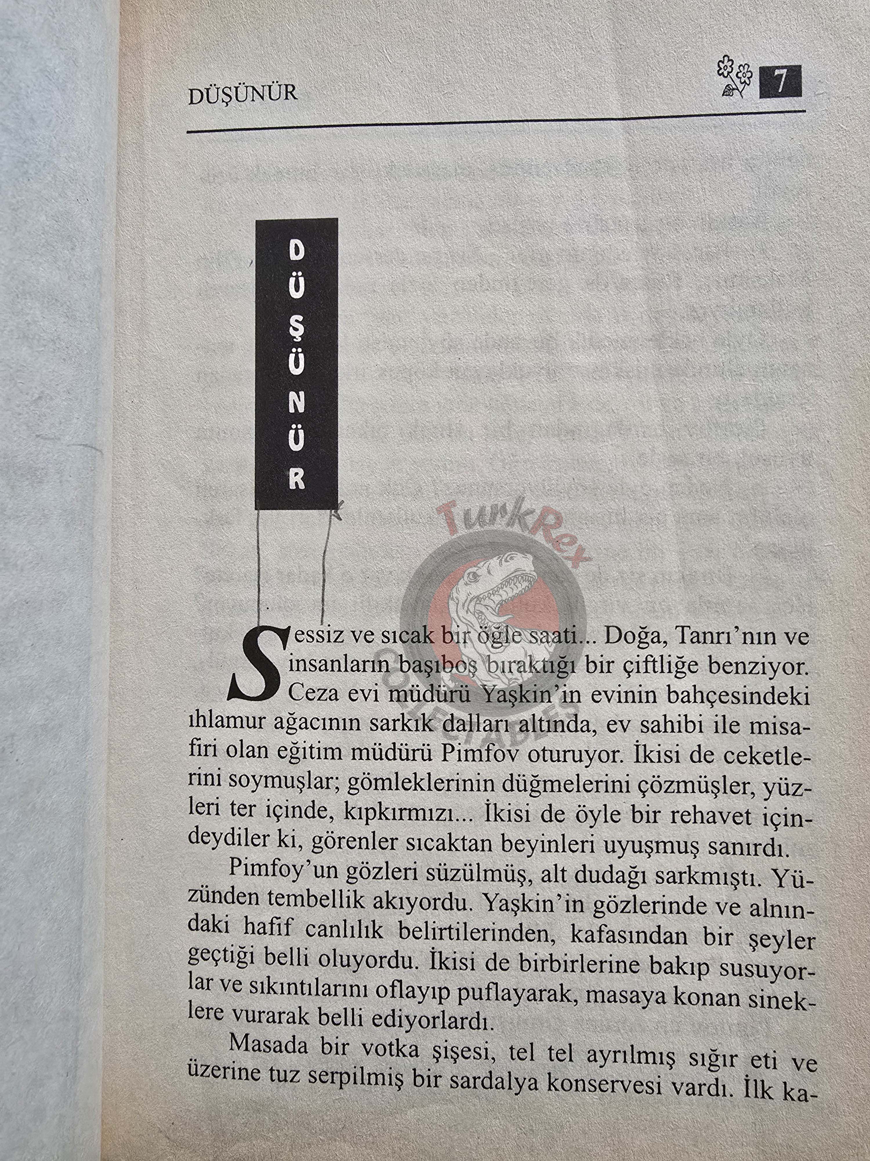Anton Chekhov – Short Stories Turkish Book Turkey