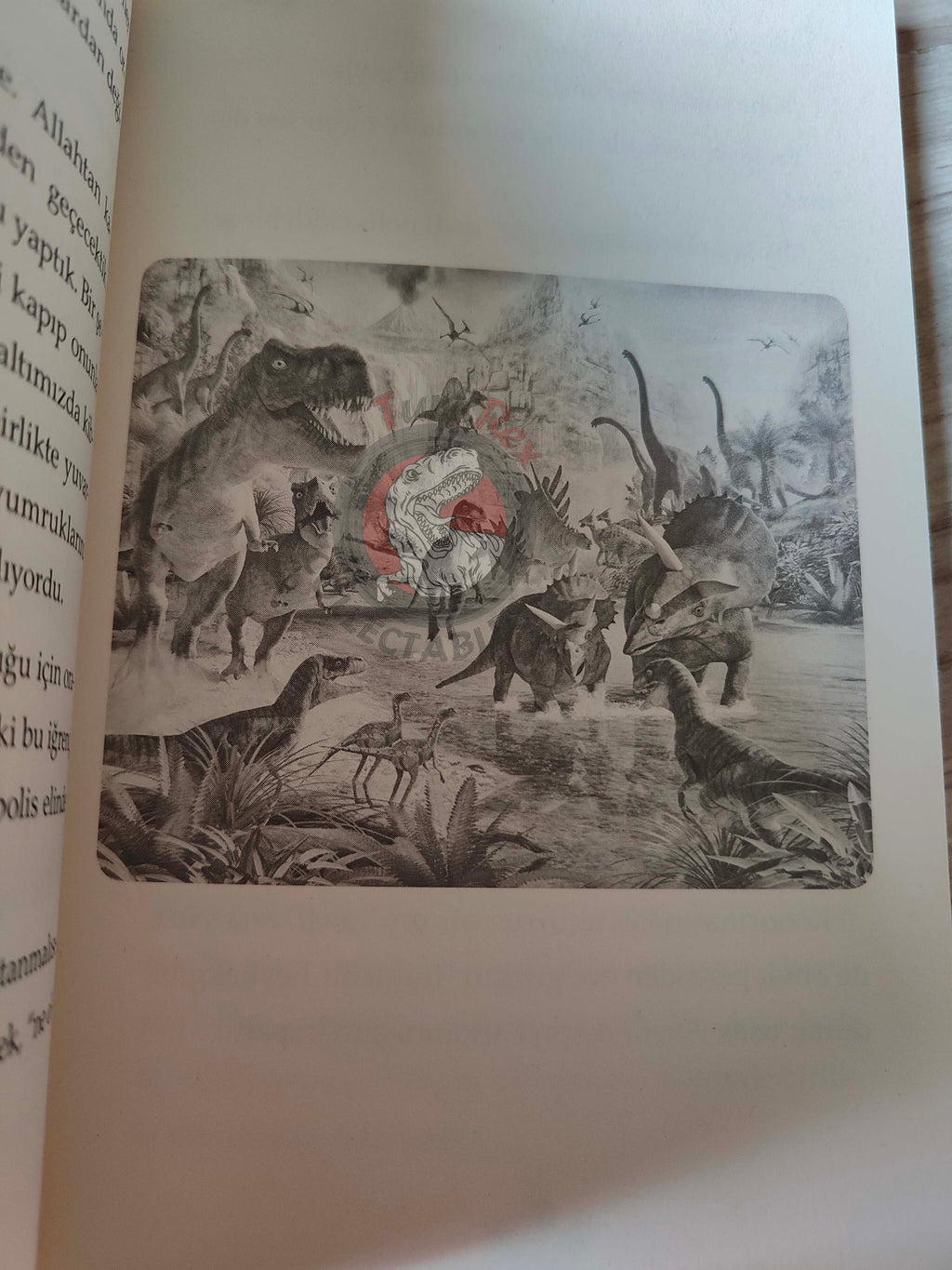 Arthur Conan Doyle – The Lost World 2018 Turkish Book Turkey Illustrated