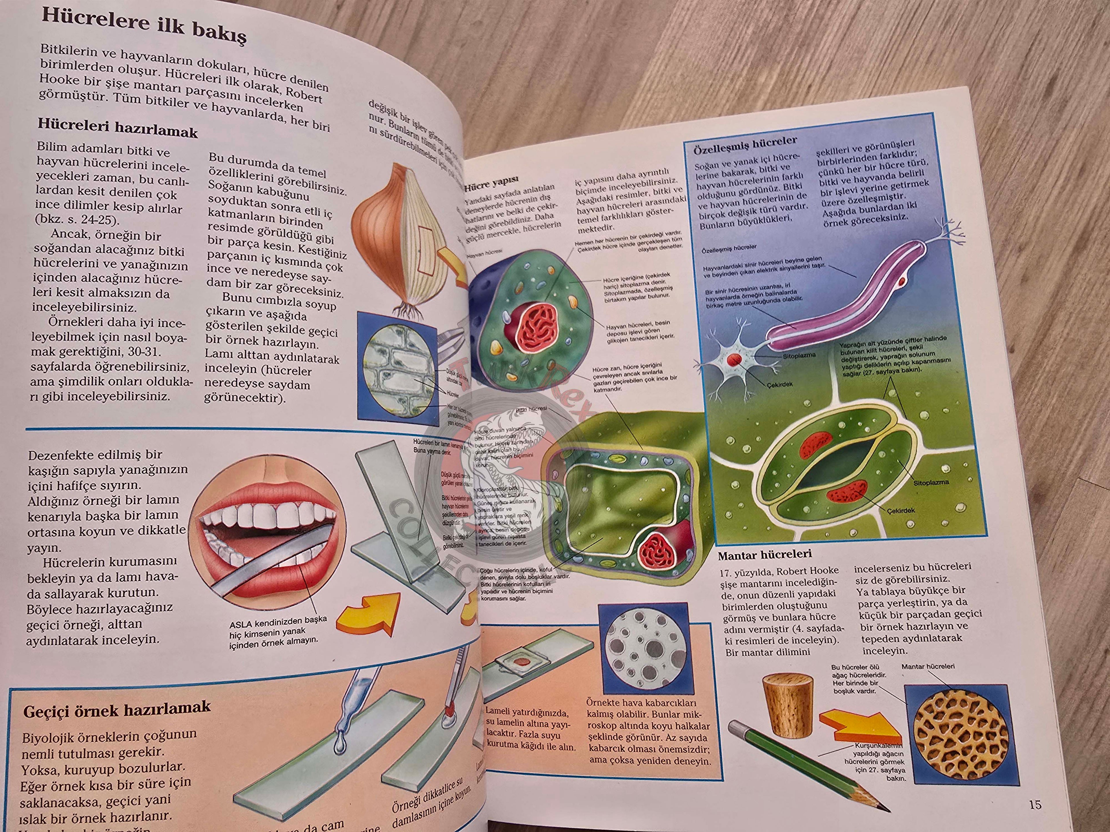 Chris Oxlade & Corinne Stockley – The World Of The Microscope 2007 Turkish Book Turkey