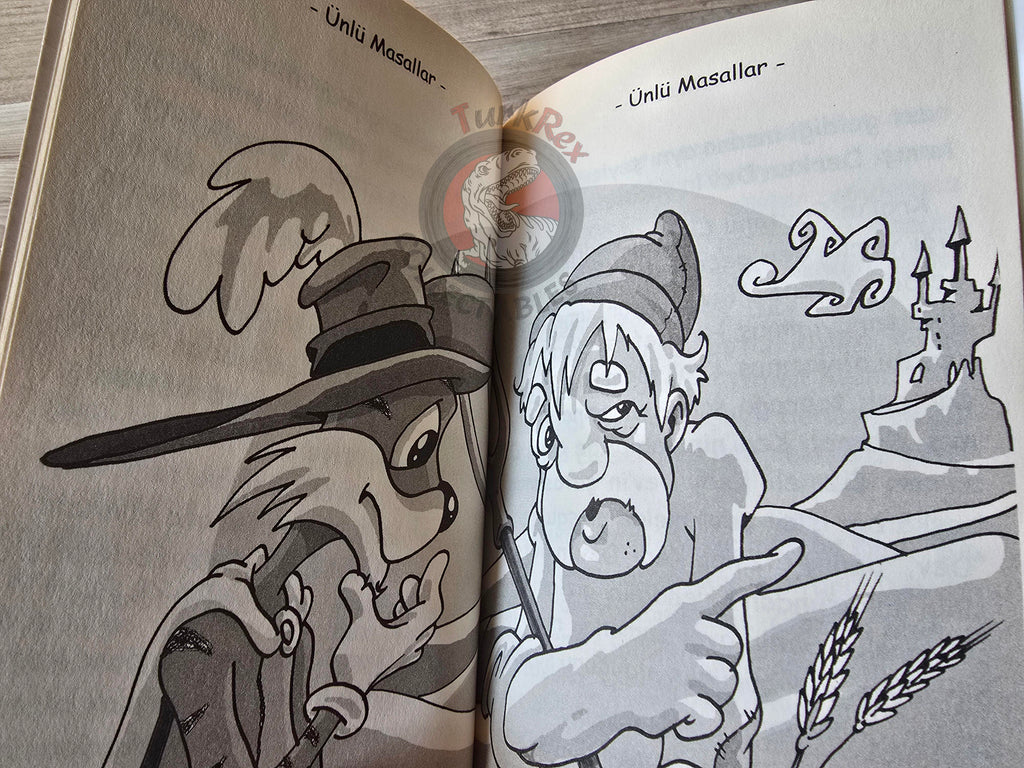 Puss in Boots – Grimm Brothers 2019 Turkish Book Turkey Illustrated