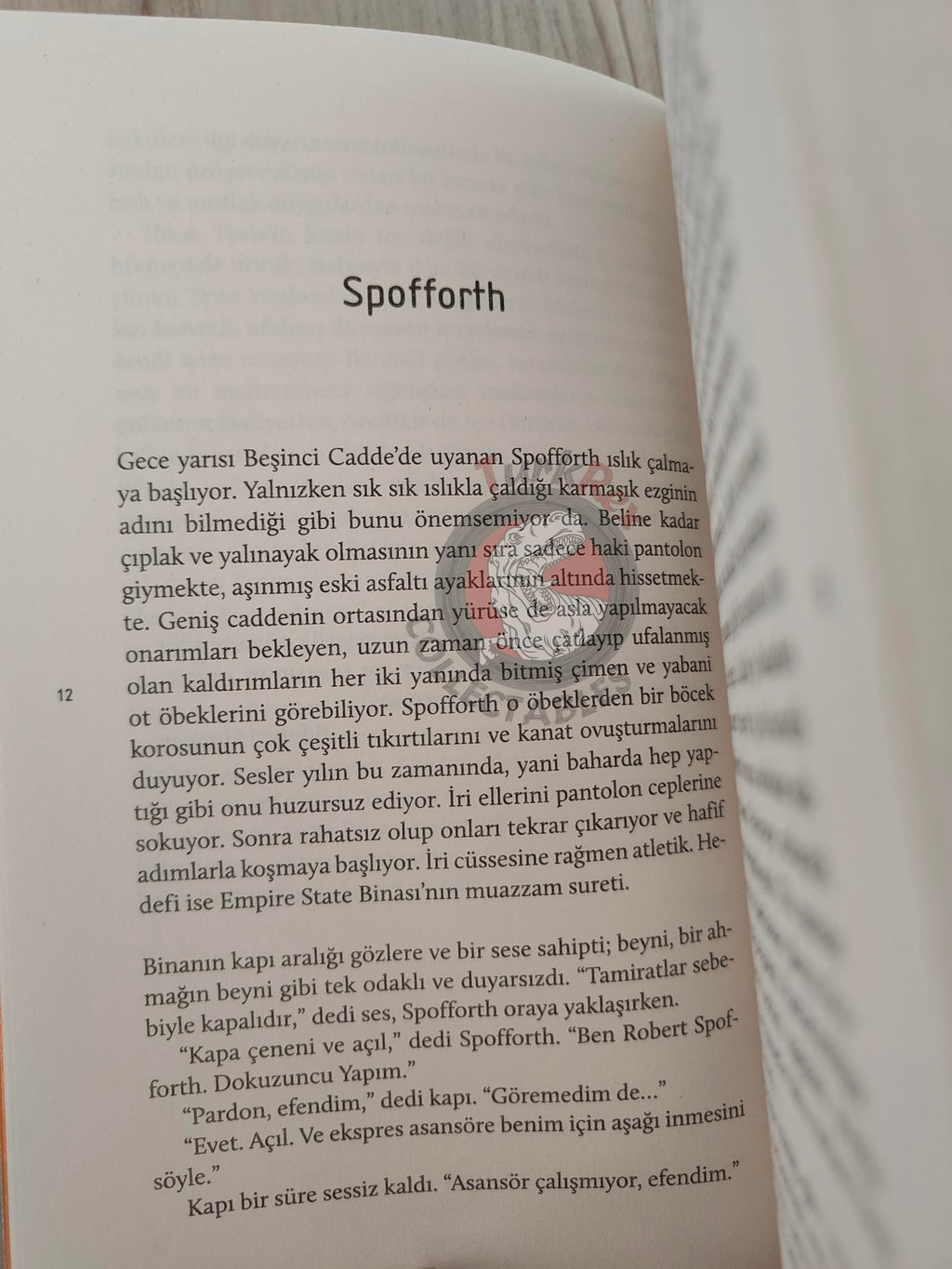 Walter Tevis – Mockingbird 2021 Turkish Book Turkey