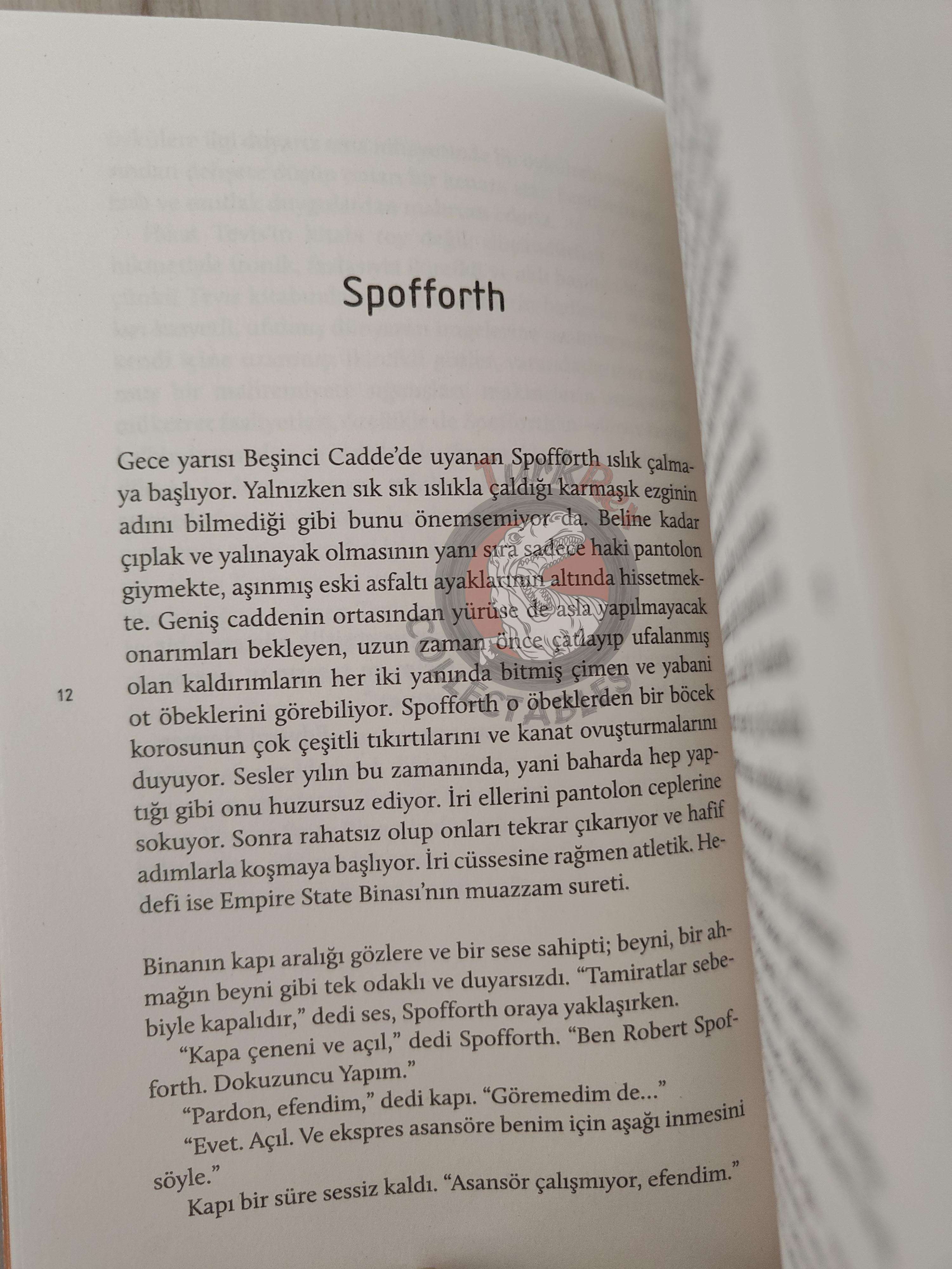 Walter Tevis – Mockingbird 2021 Turkish Book Turkey