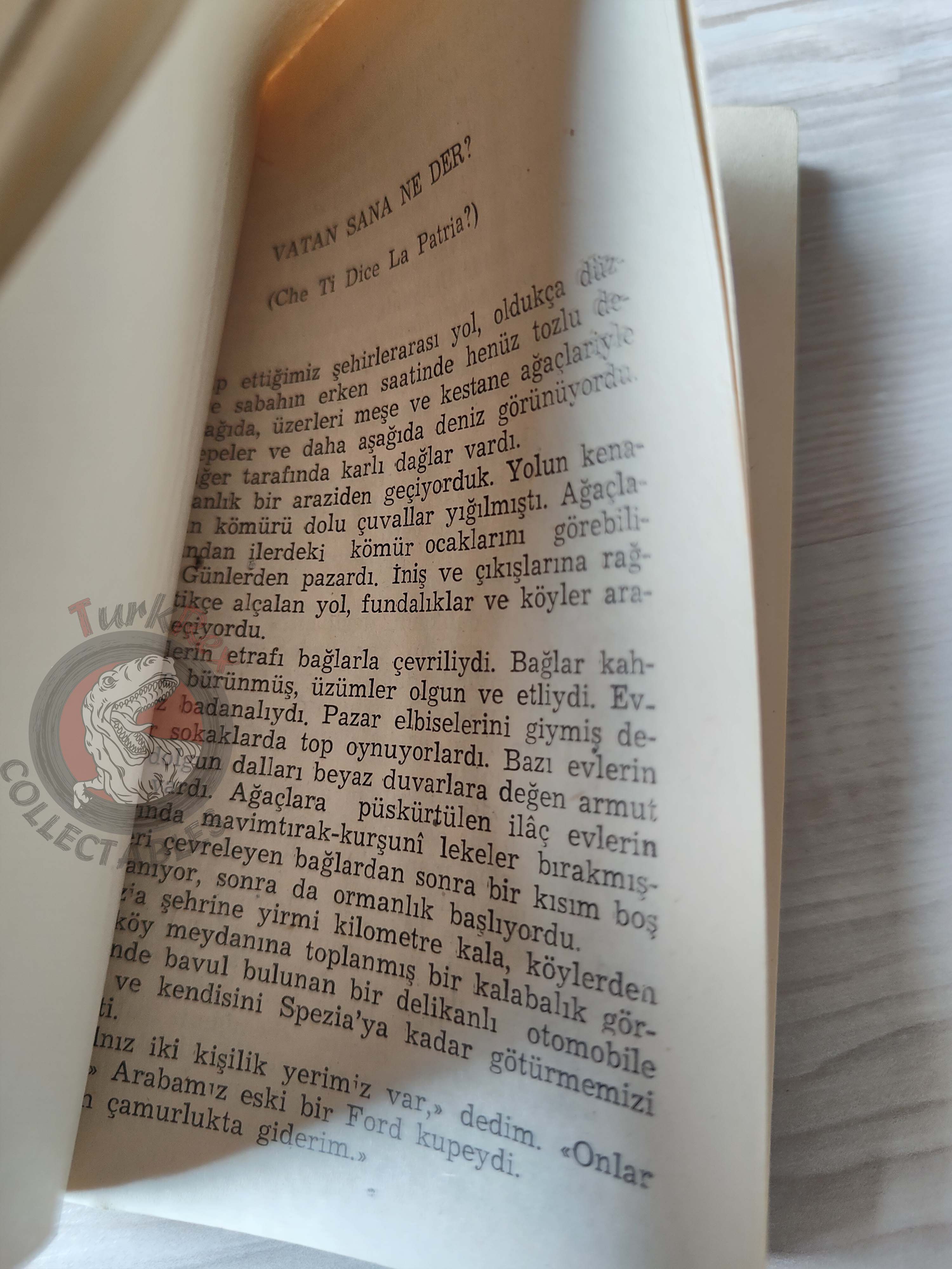 Ernest Hemingway – Men Without Women 1954 1st Turkish Book Turkey