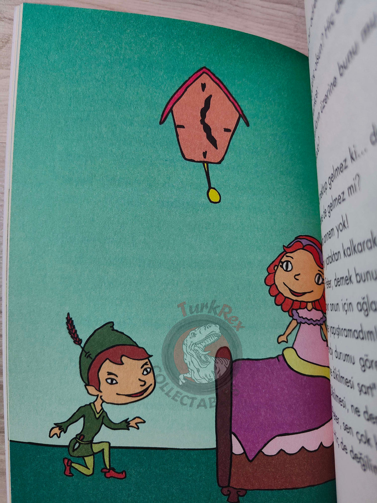 J. M. Barrie – Peter Pan 2009 Turkish Book Turkey Illustrated 5