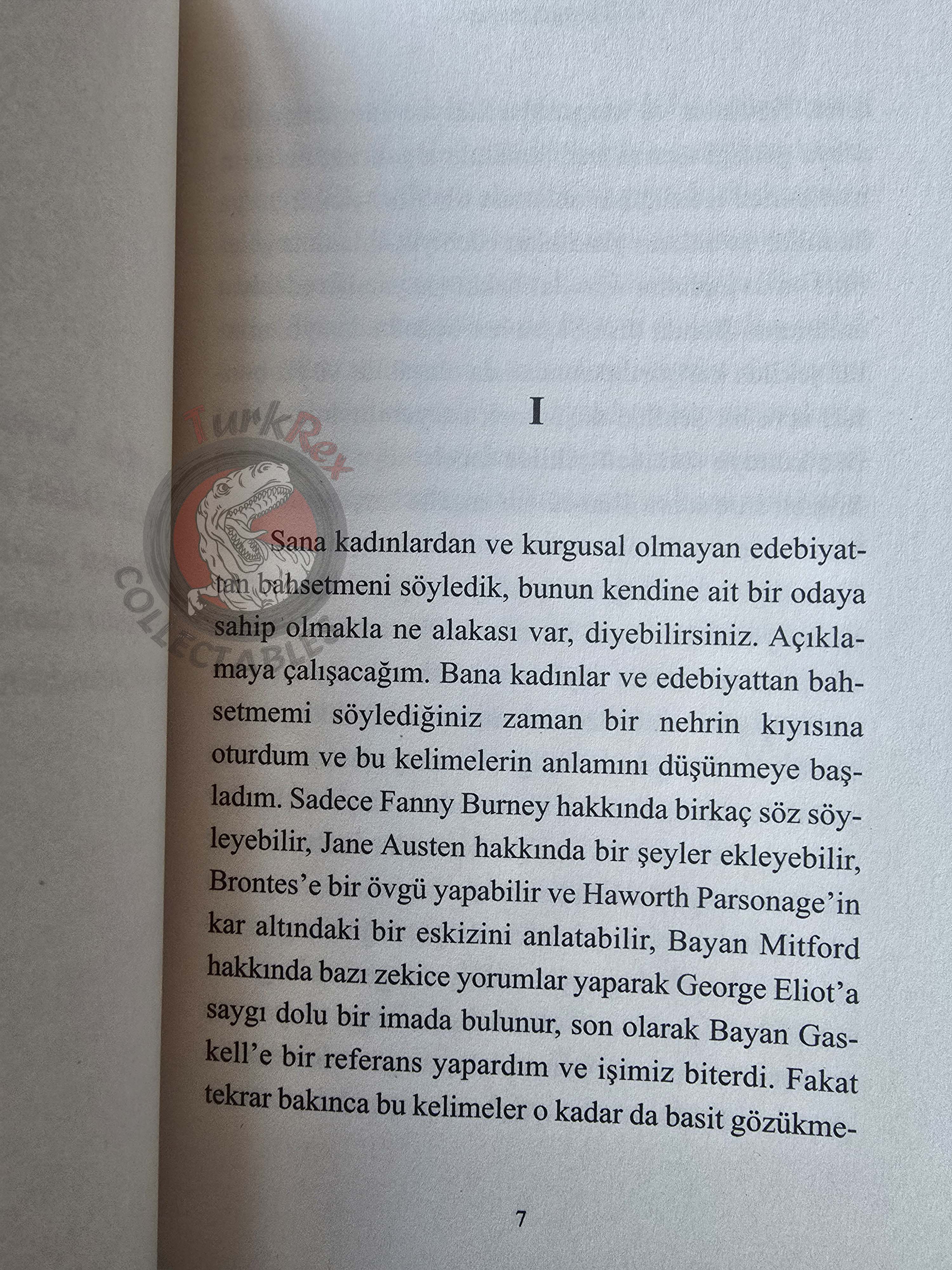 Virginia Woolf – A Room of One’s Own 2018 Turkish Book Turkey