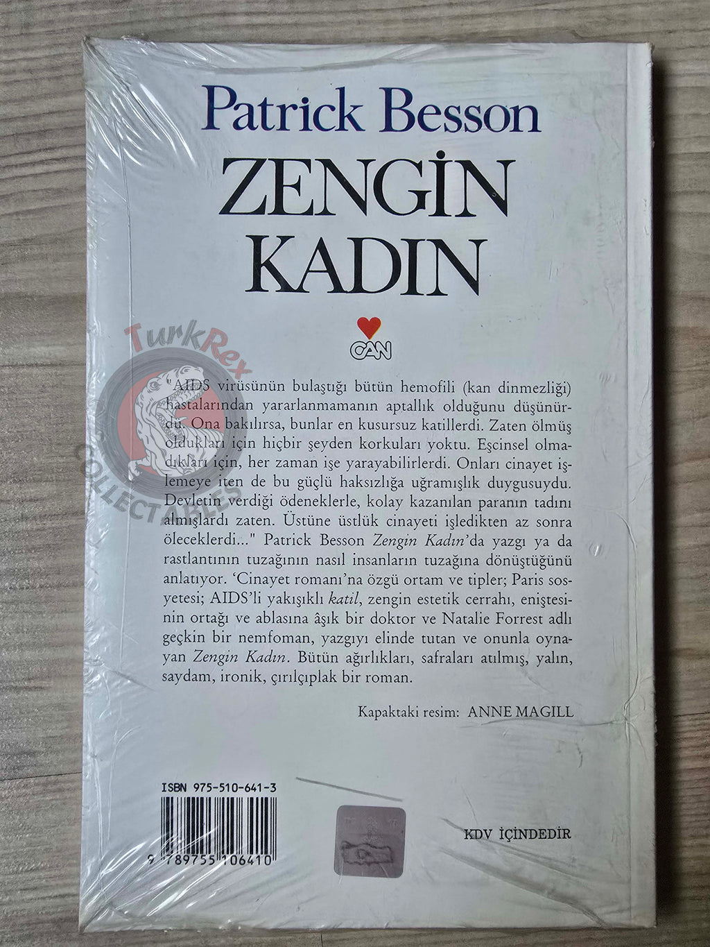 Patrick Besson – The Rich Lady Turkish Book Turkey