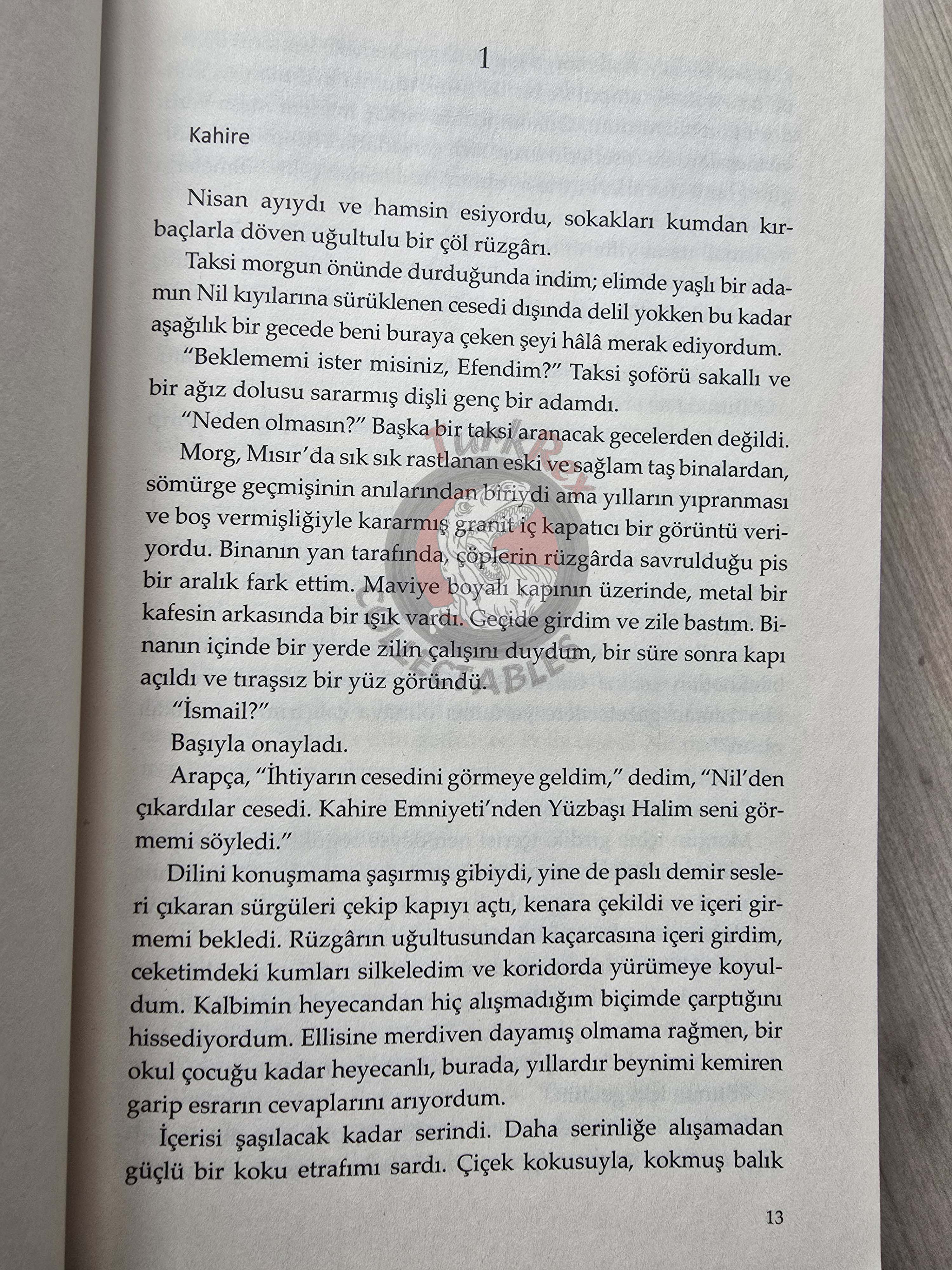 Glenn Meade – The Sands Of Sakkara 2017 Turkish Book Turkey