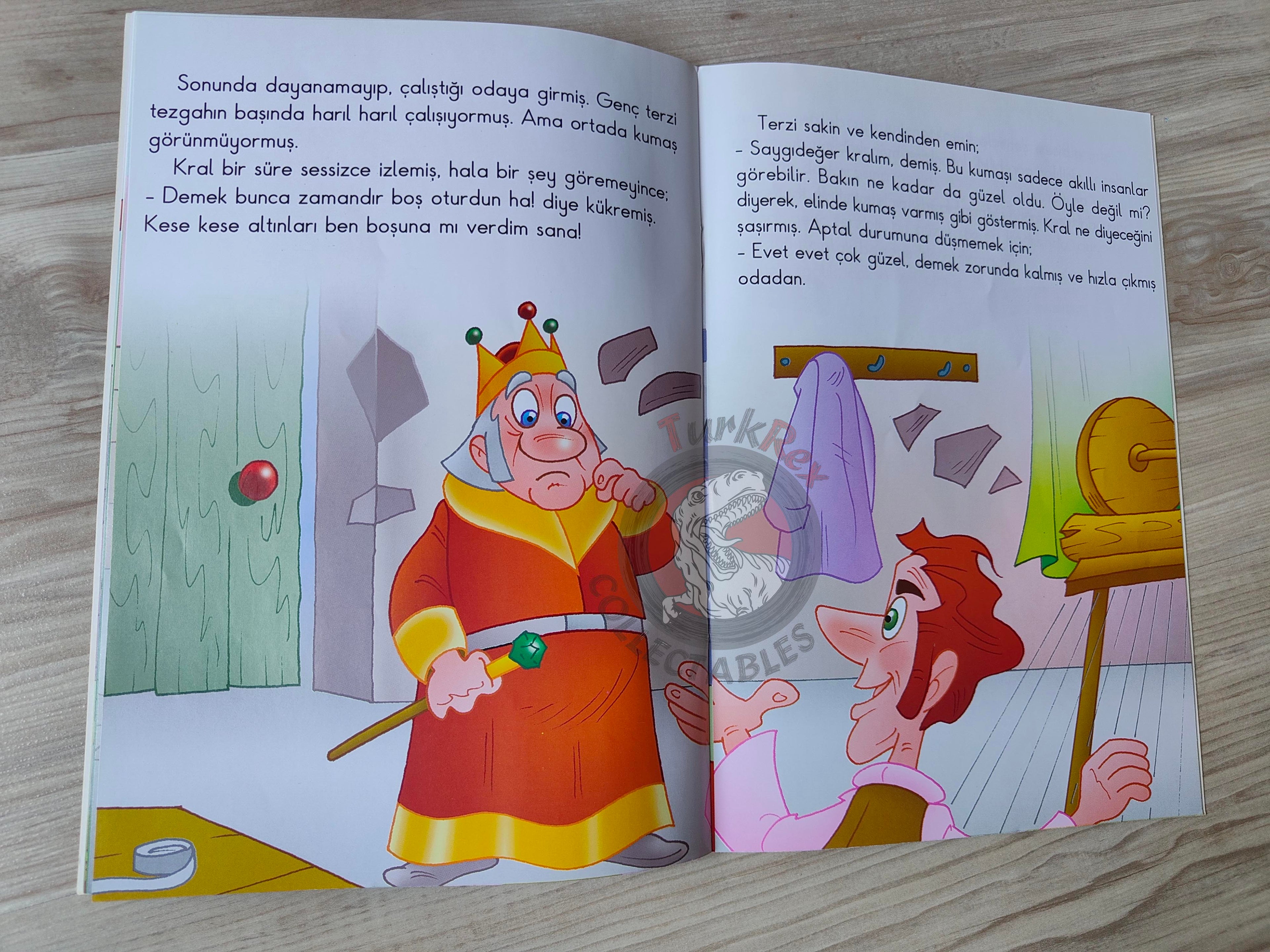 Hans Christian Andersen –  The Emperor's New Clothes 2011 Turkish Book Turkey Illustrated