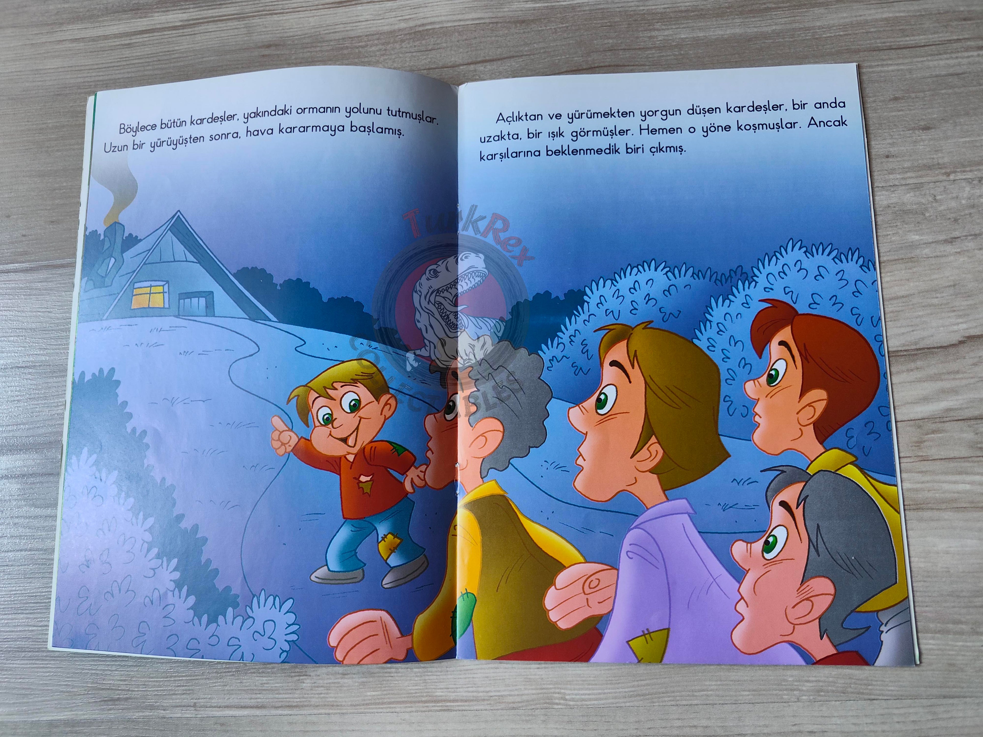 Grimm Brothers – Tom Thumb 2009 Turkish Book Turkey Illustrated