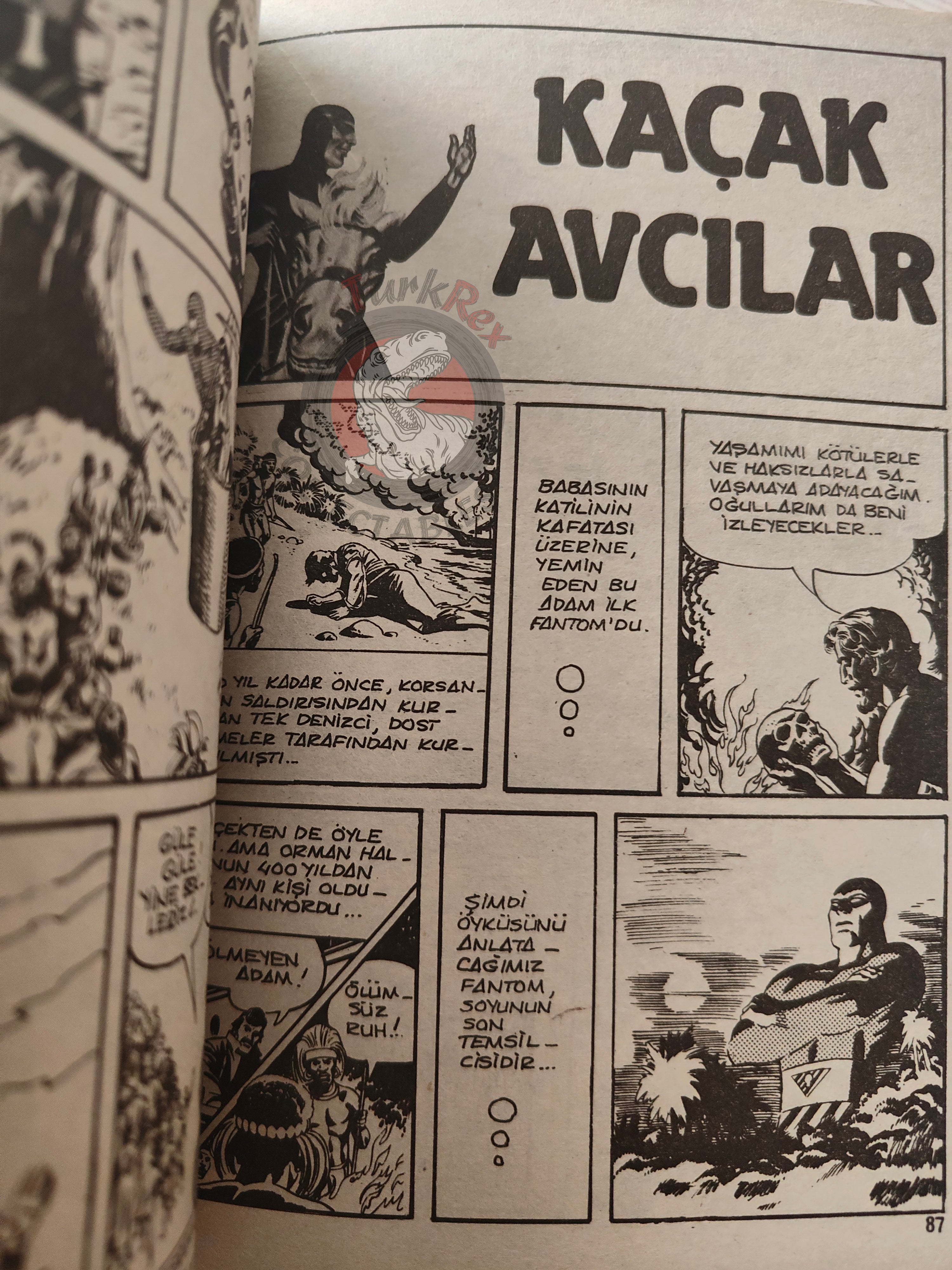 The Phantom #41 The Tree House Turkish Edition Comic Turkey