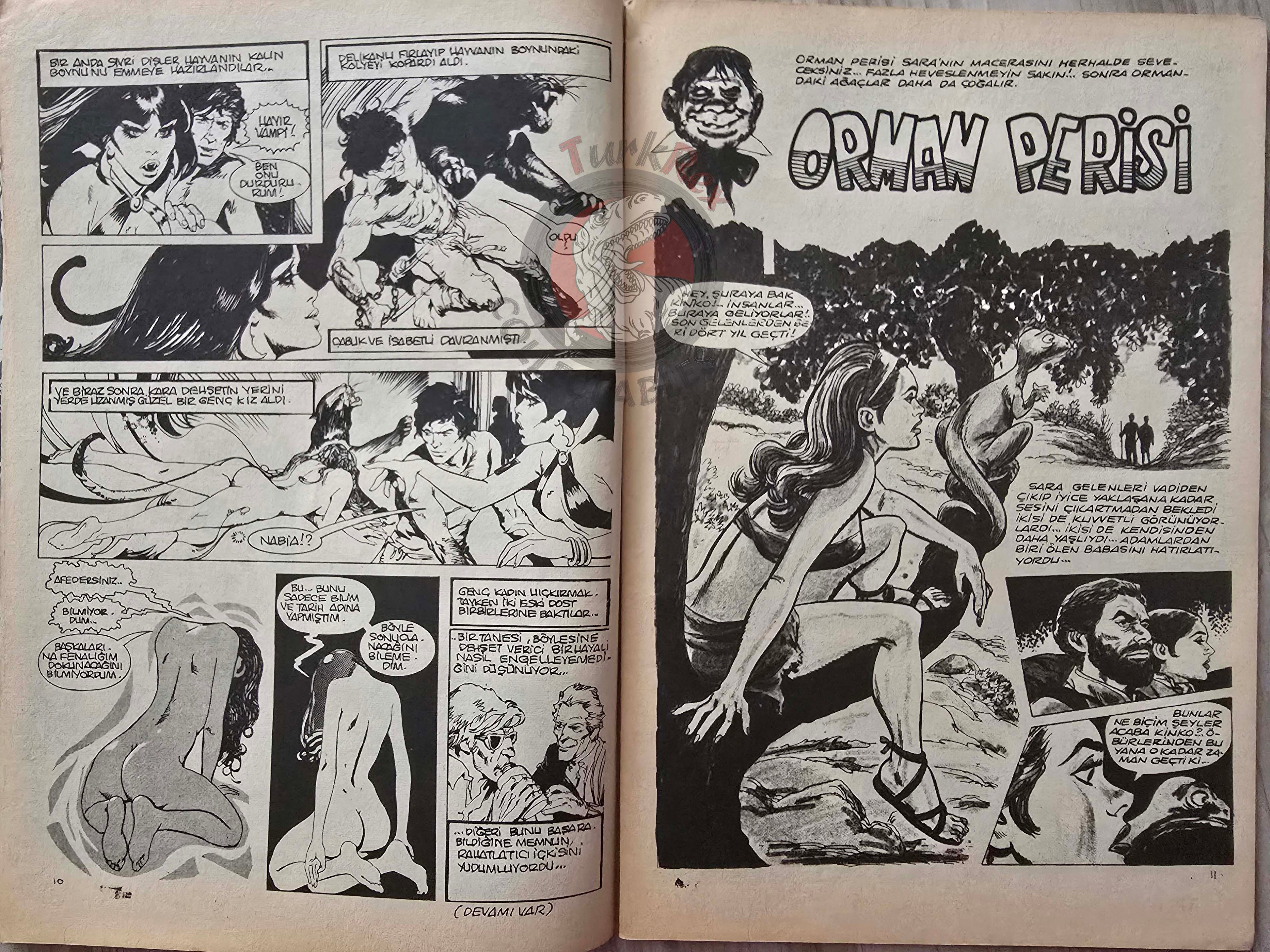Vampirella #14 1977 Turkish Comic Turkey Warren Publishing cover #47 #50 Morbius Eerie