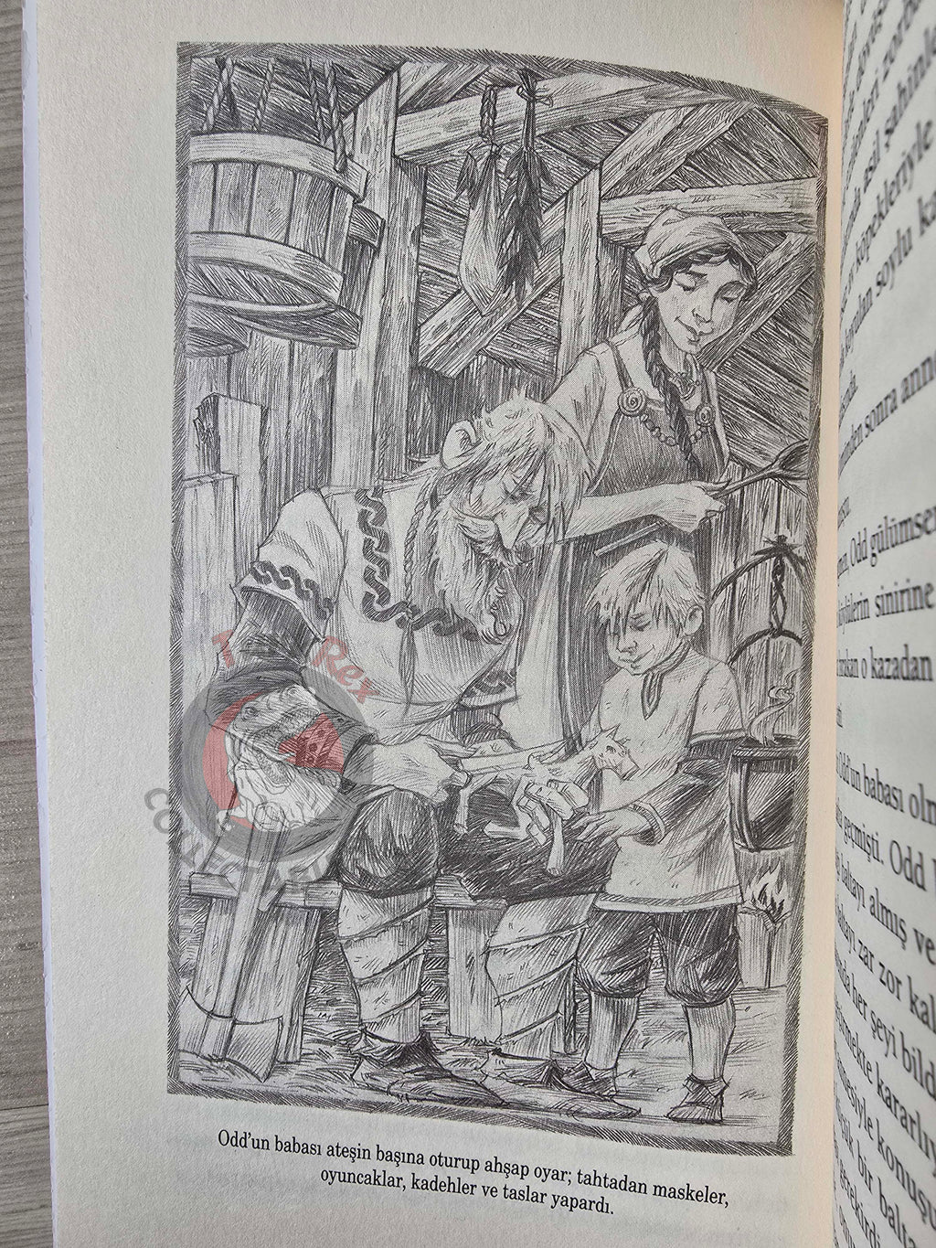 Neil Gaiman – Odd And The Frost Giants 2020 1st Turkish Book Turkey Illustrated