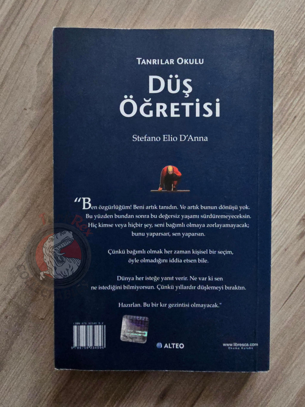 Stefano Elio D'Anna – The School for Gods  2006 Turkish Book Turkey