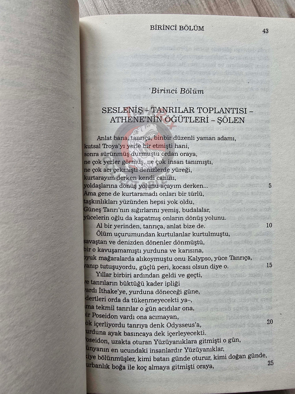 Homeros – Odysseia 2010 Turkish Book Turkey