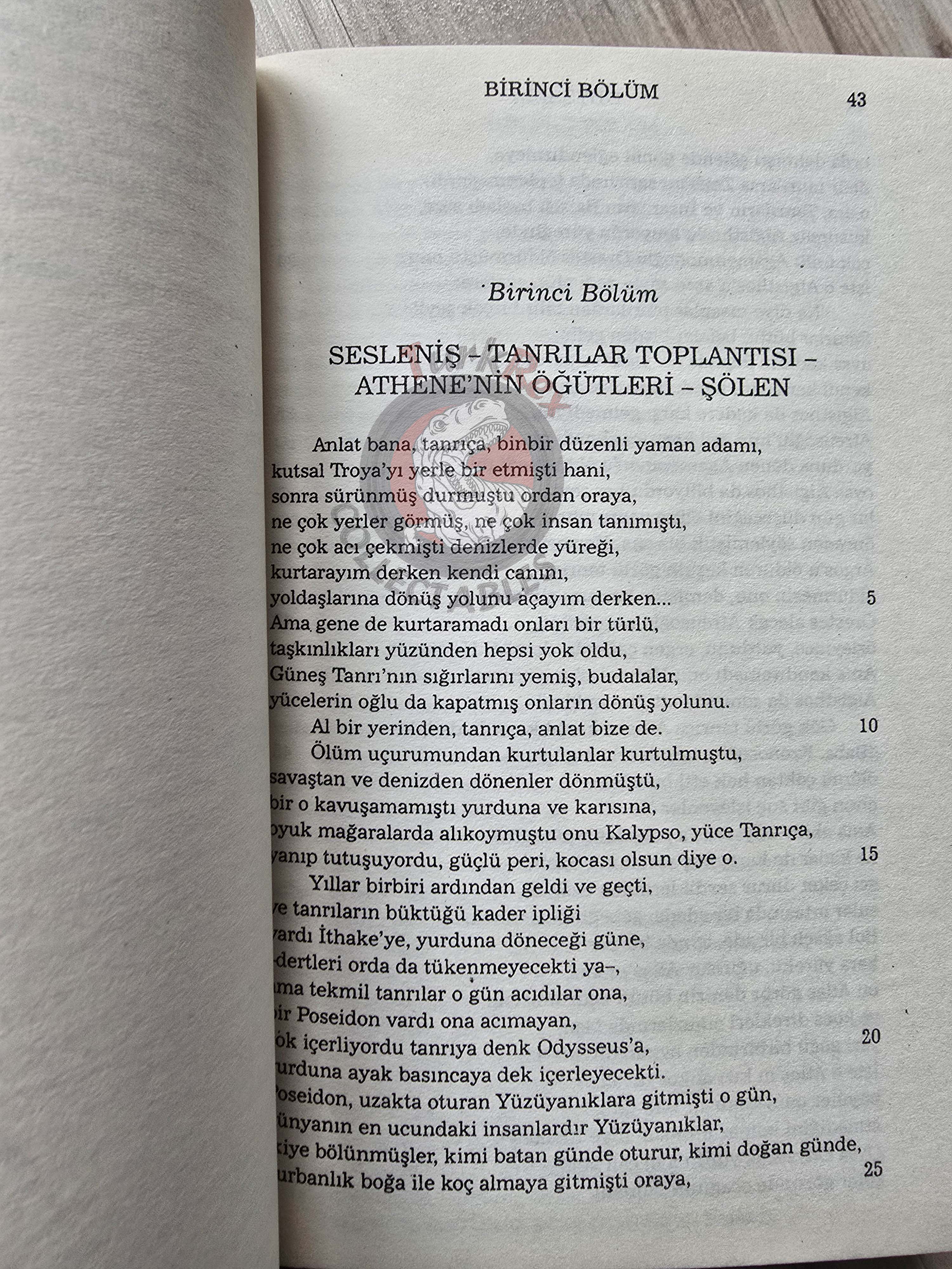 Homeros – Odysseia 2010 Turkish Book Turkey