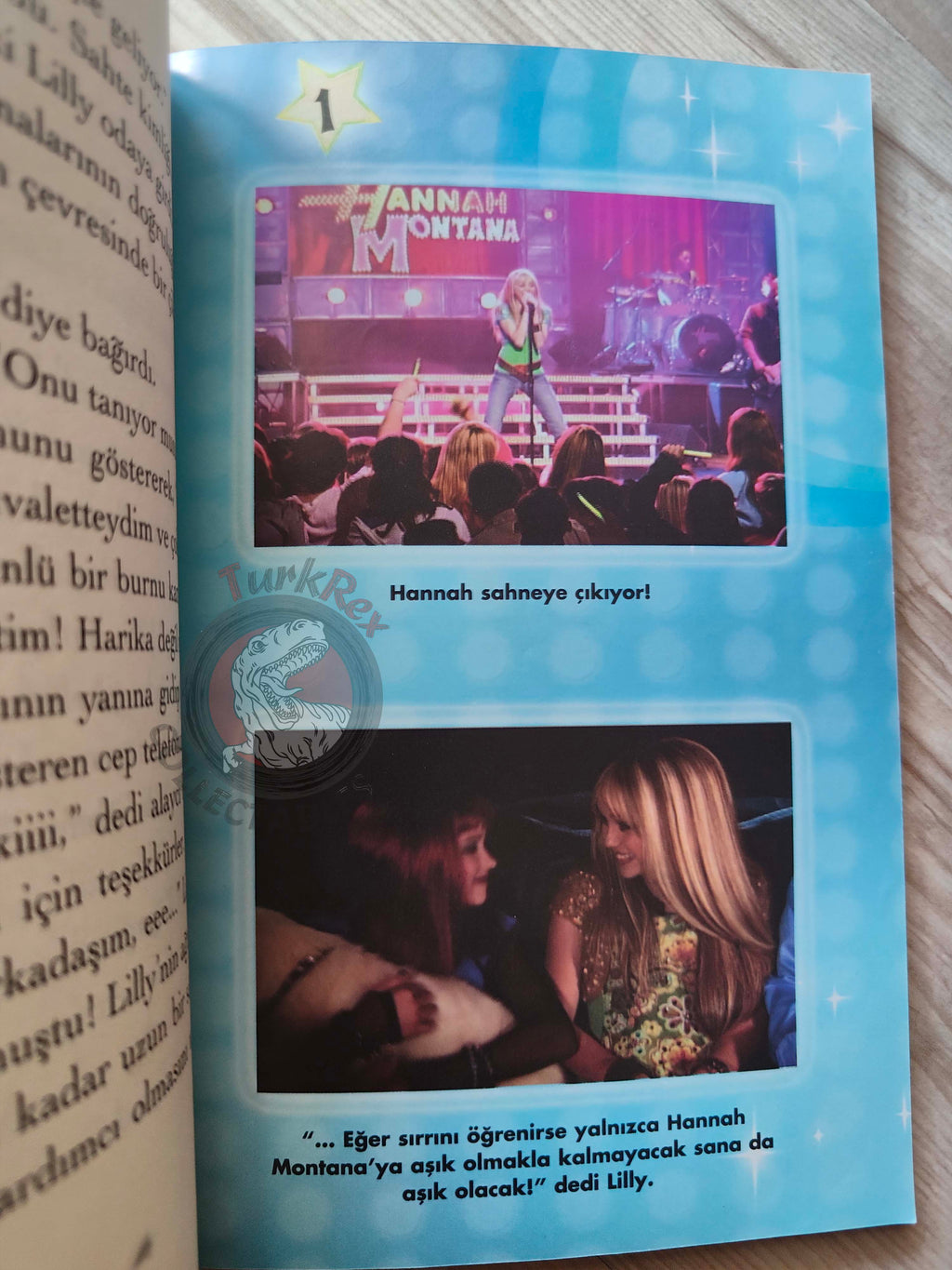 Beth Beechwood – Hannah Montana: Keeping Secrets 2009 Turkish Book Turkey