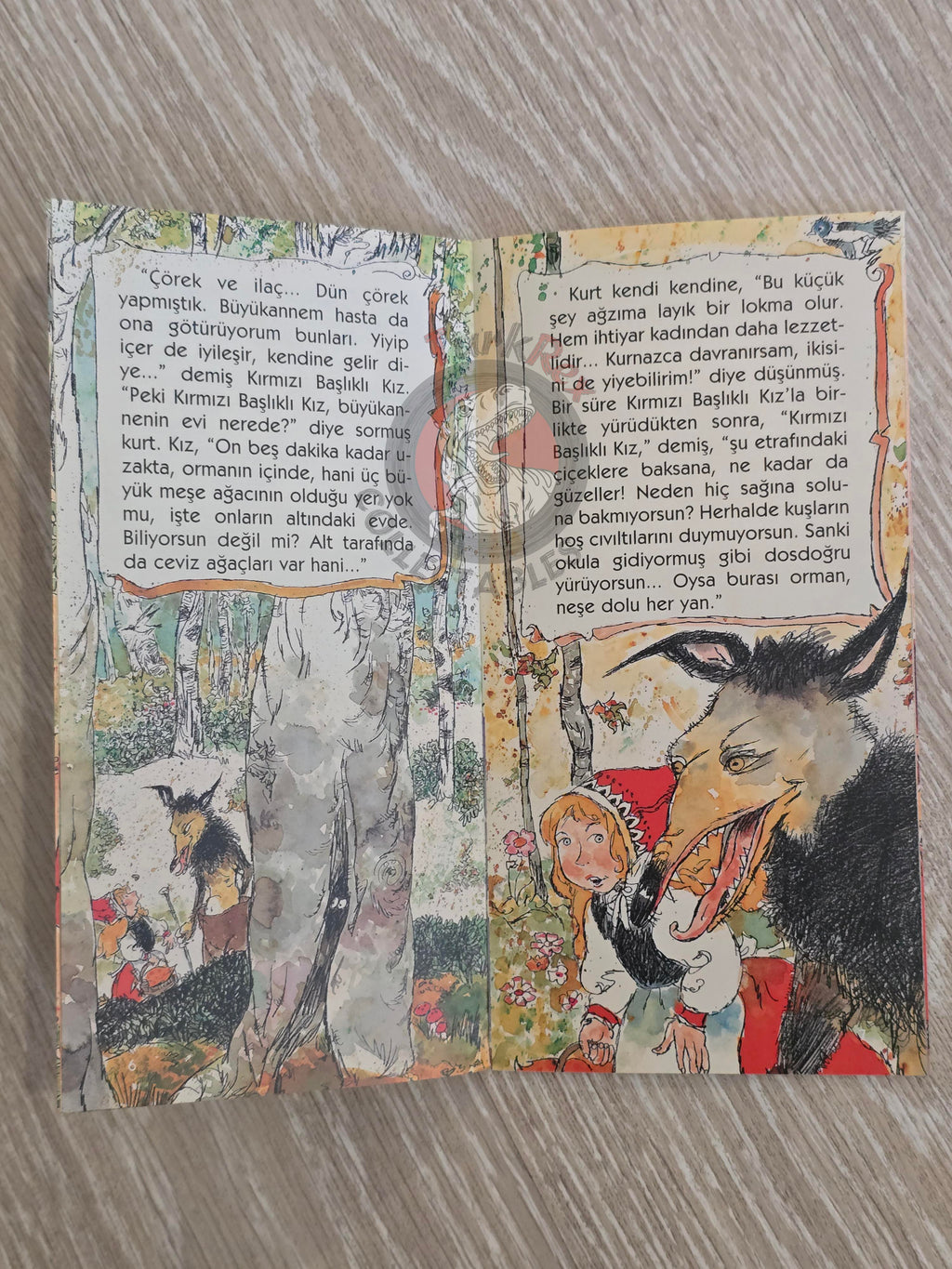Little Red Riding Hood  – Grimm Brothers 2011 Turkish Book Turkey Illustrated 1