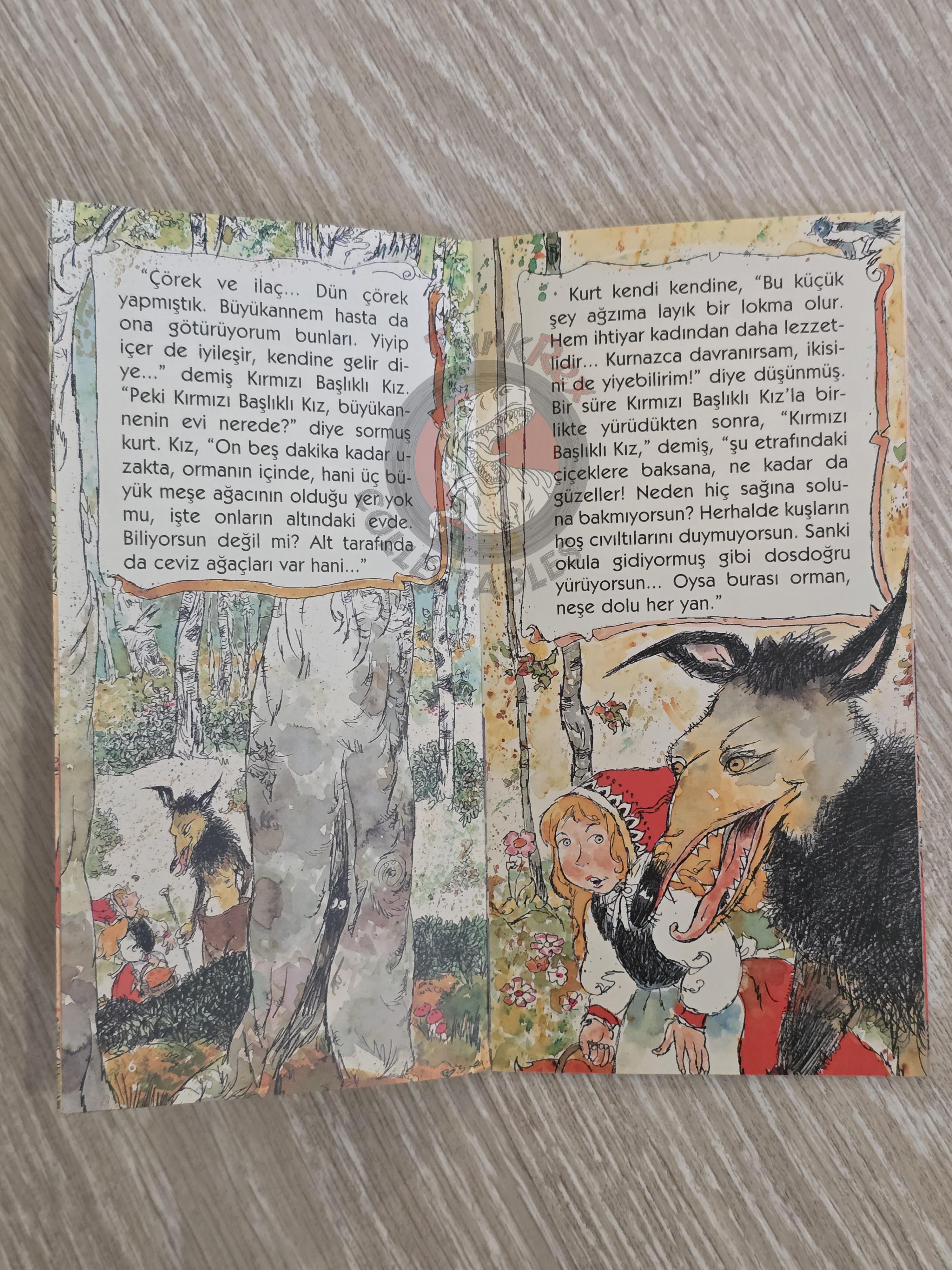 Little Red Riding Hood  – Grimm Brothers 2011 Turkish Book Turkey Illustrated 1