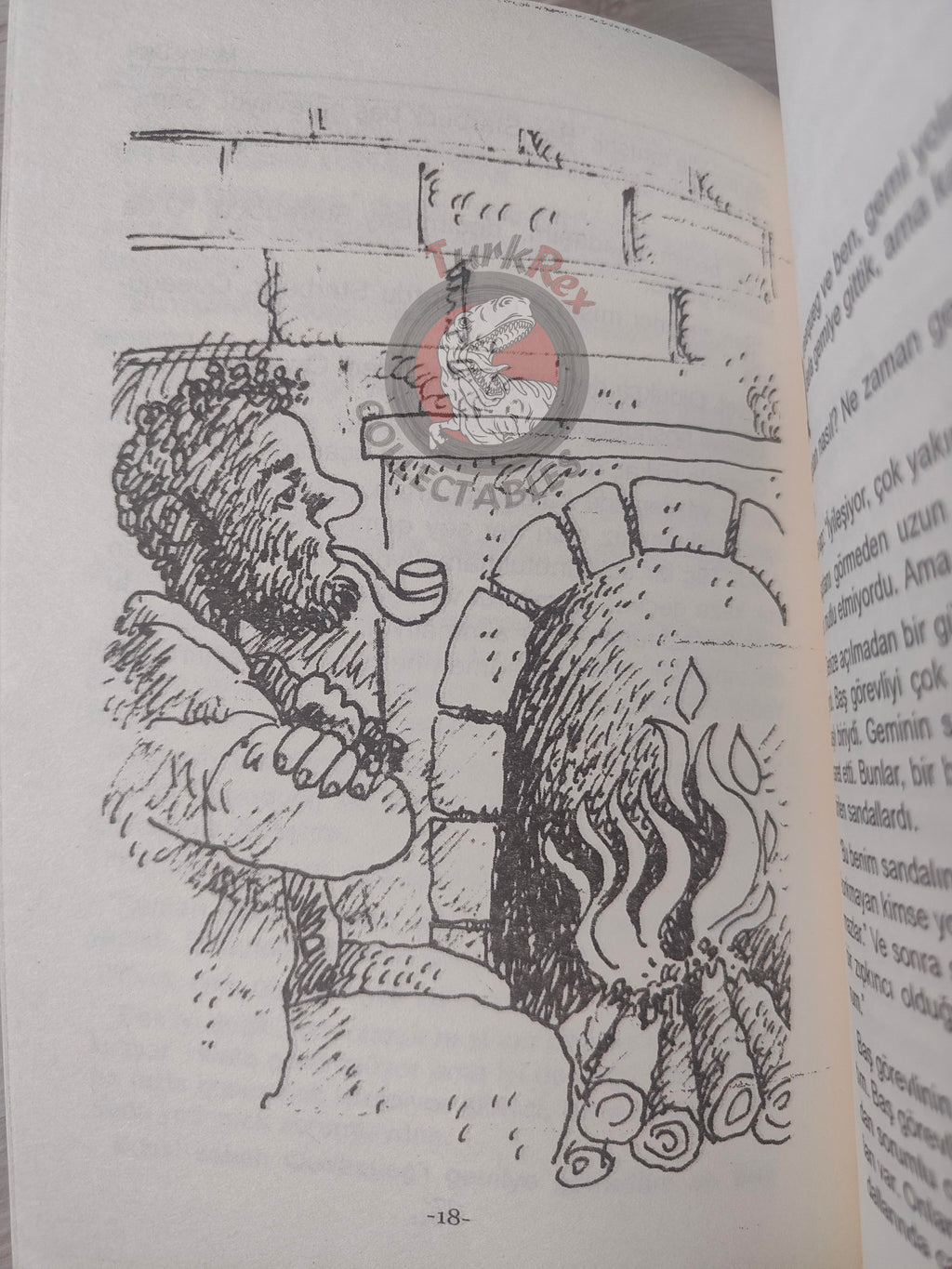 Herman Melville – Moby Dick 2013 Turkish Book Turkey Illustrated