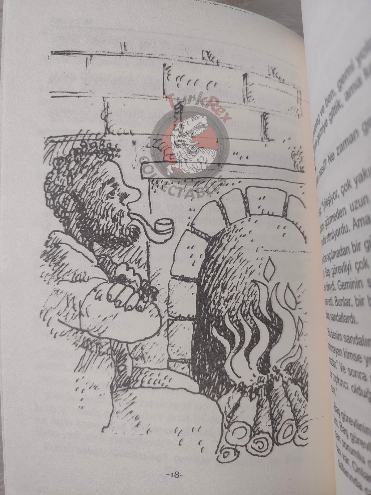 Herman Melville – Moby Dick 2013 Turkish Book Turkey Illustrated