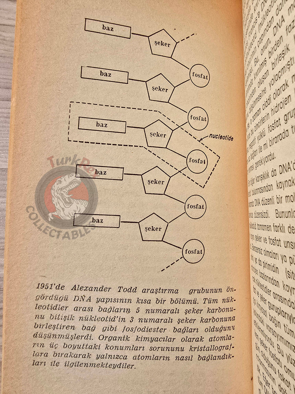 James D. Watson – The Double Helix 1982 1st Turkish Book Turkey