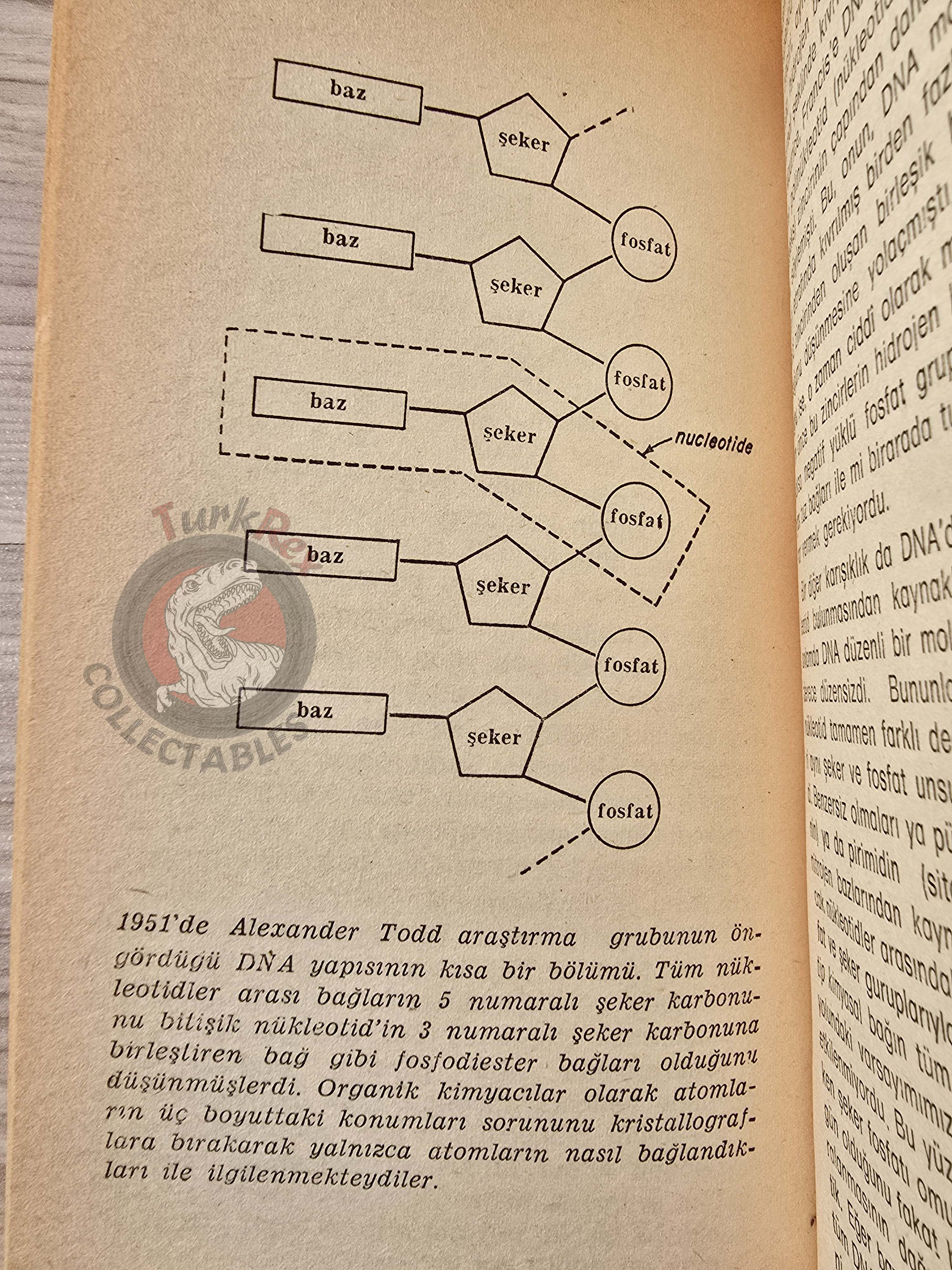 James D. Watson – The Double Helix 1982 1st Turkish Book Turkey