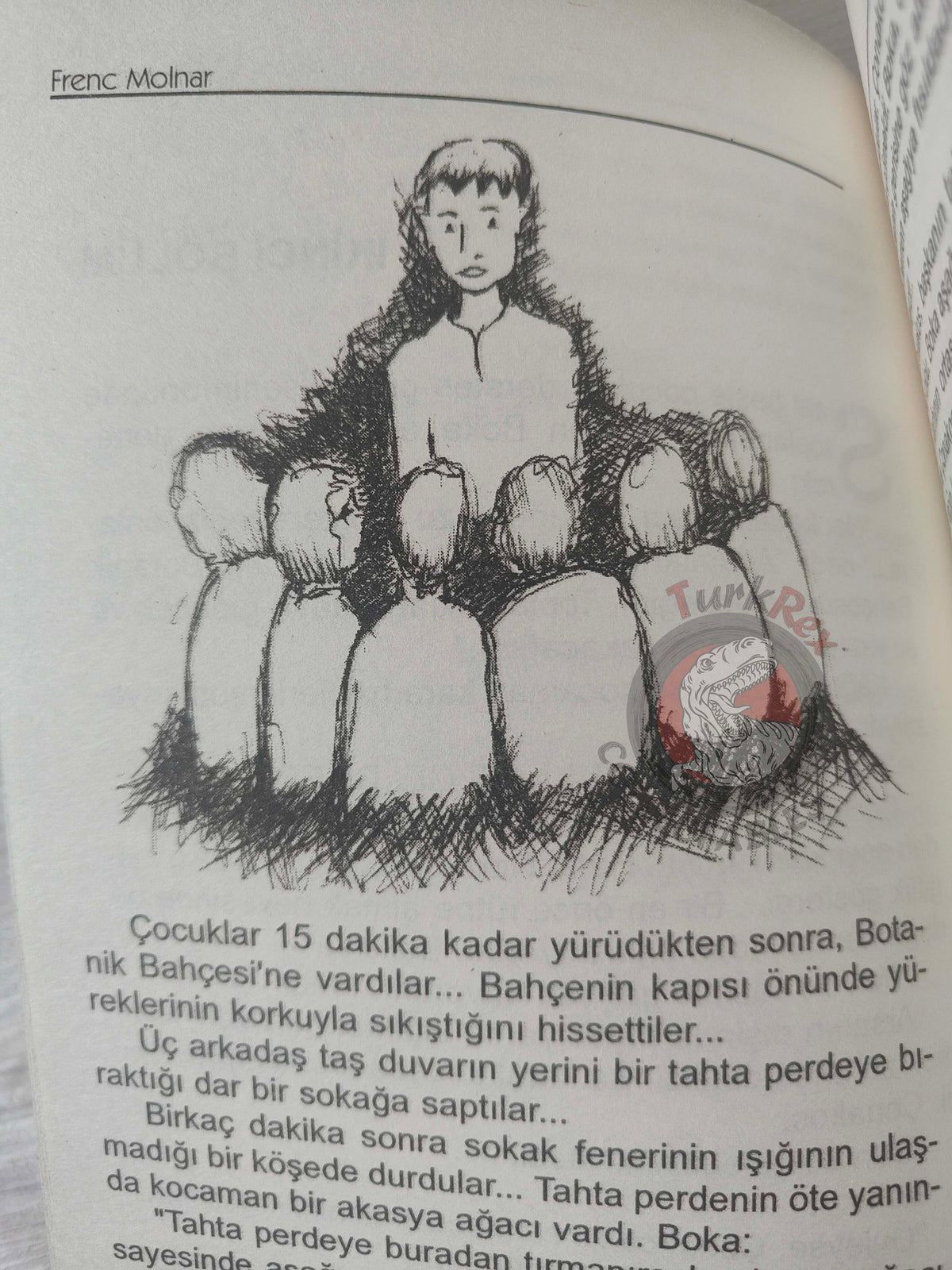 Ferenc Molnár – The Paul Street Boys 2013 Turkish Book Turkey Illustrated