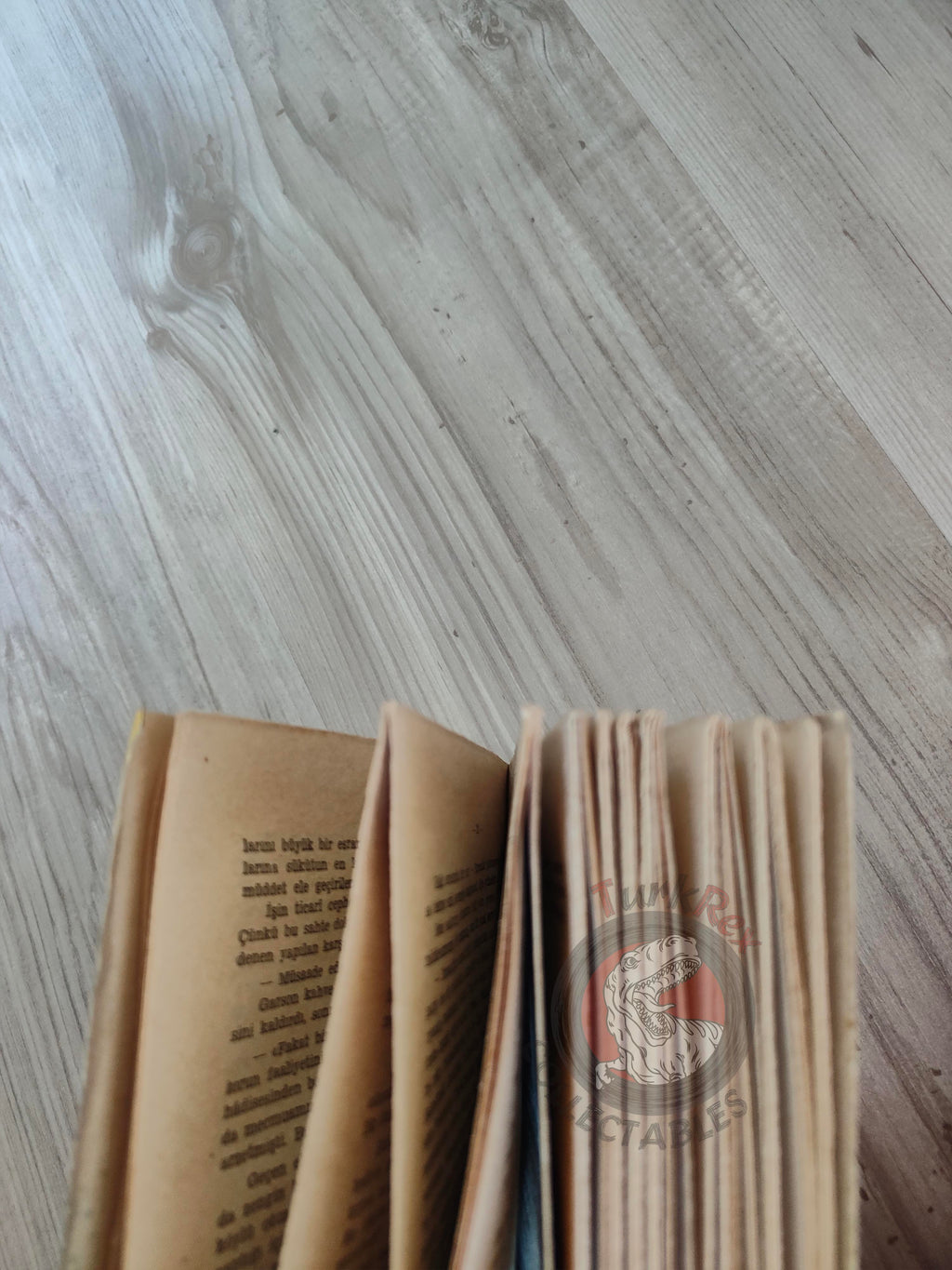 Pitigrilli – Dolicocefala Bionda 1958 Turkish Book Turkey