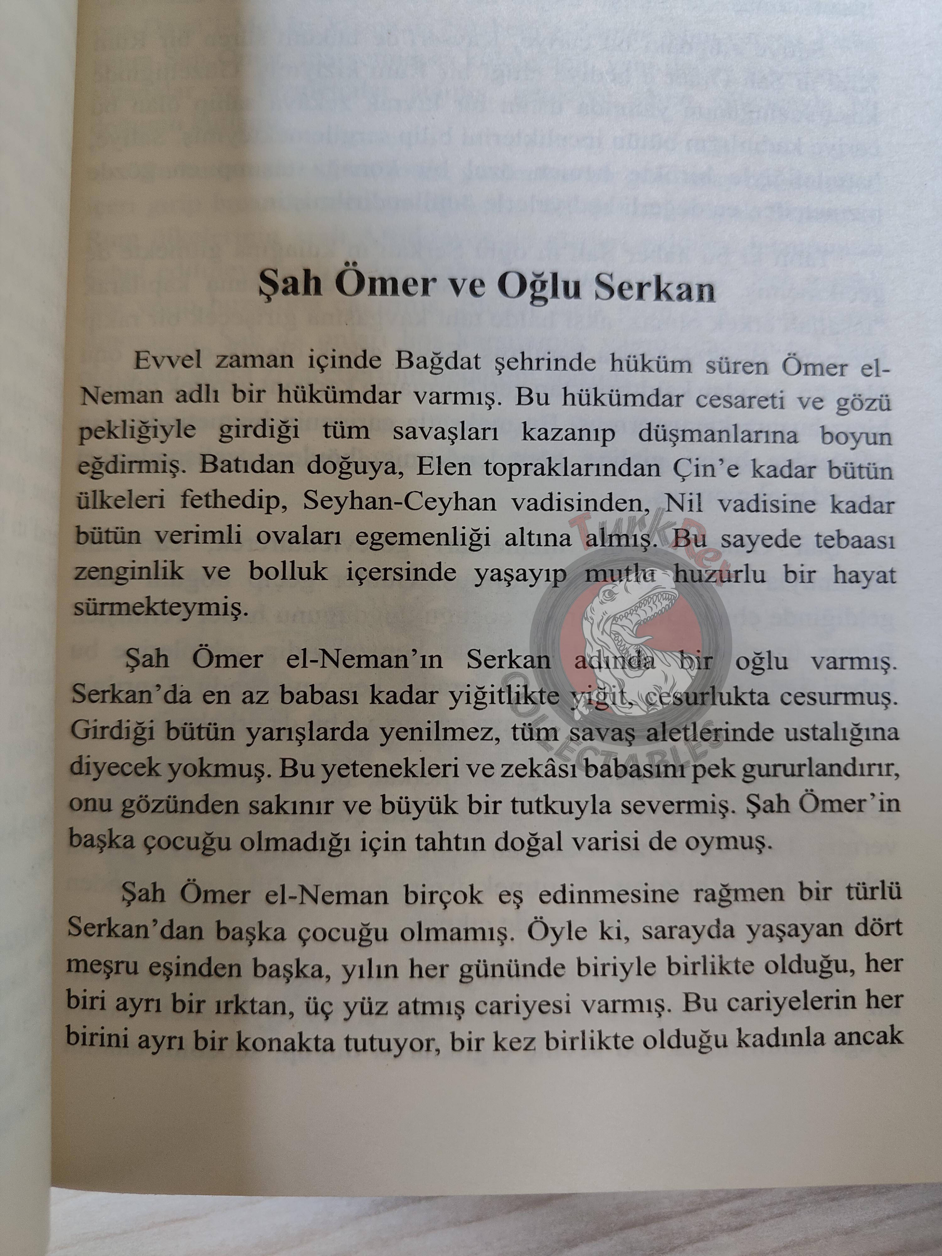 One Thousand and One Nights 2007 Turkish Book Turkey 1001 Nights Illustrated