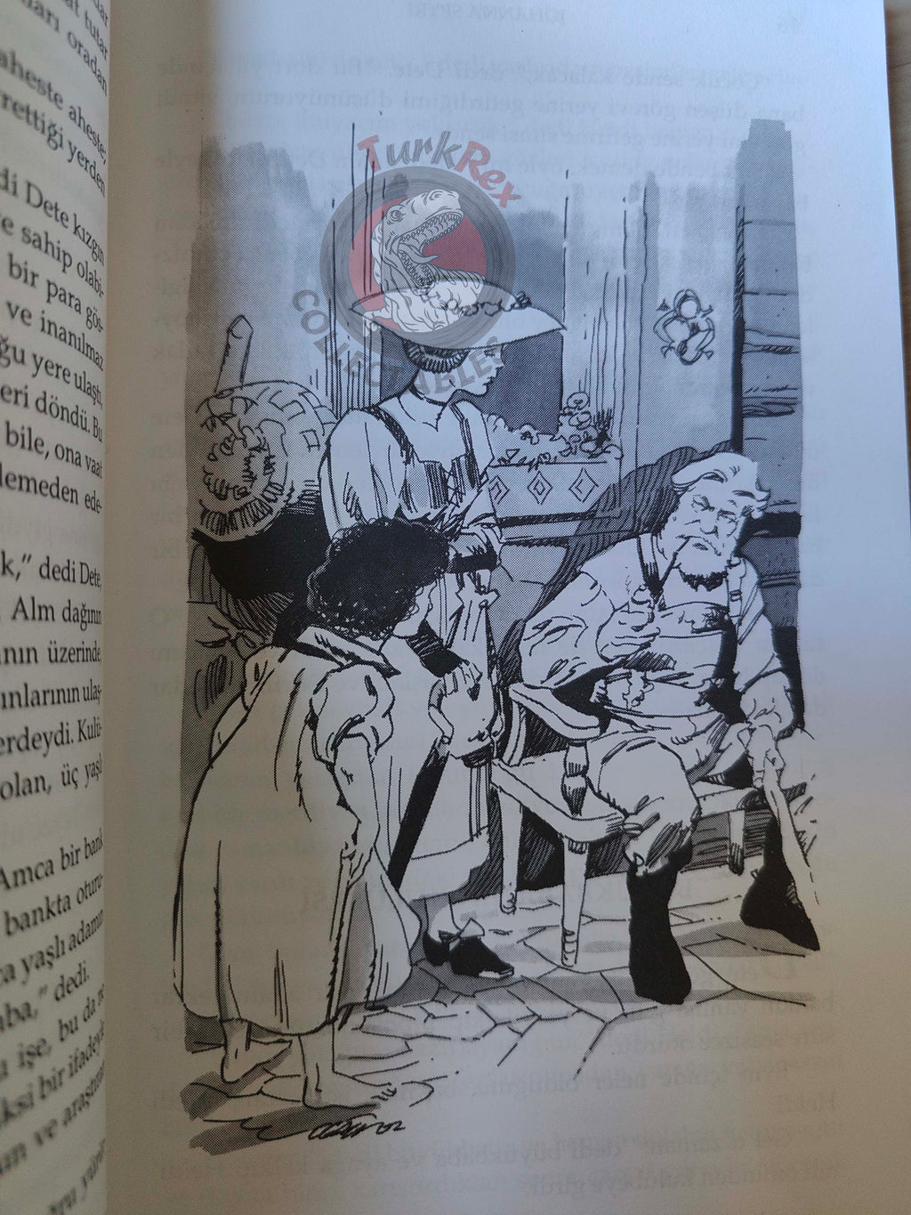 Johanna Spyri – Heidi 2002 Turkish Book Turkey Illustrated