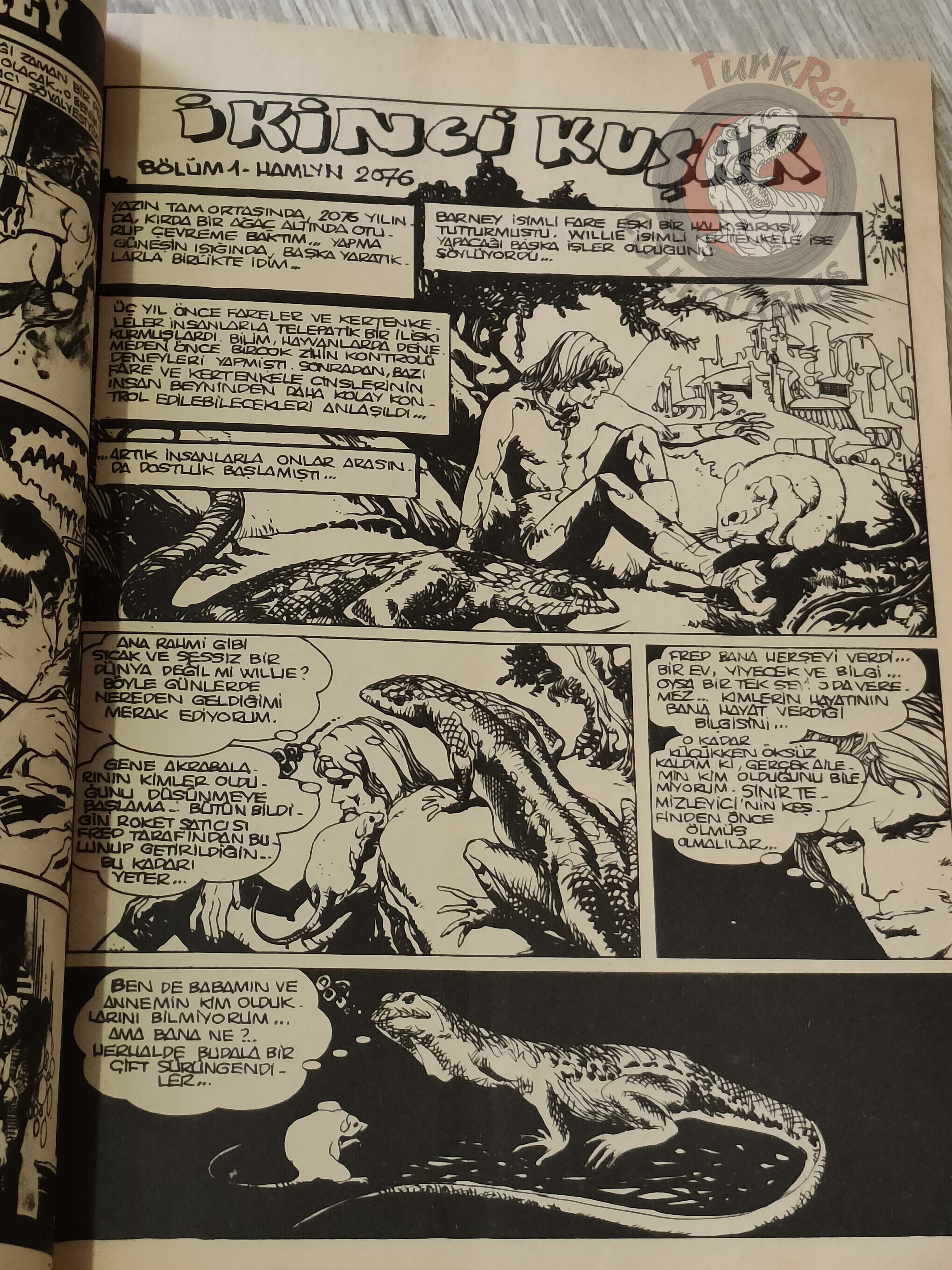 Vampirella #21 1977 Turkish Comic Turkey Warren Publishing cover #30 #54 Space 1999