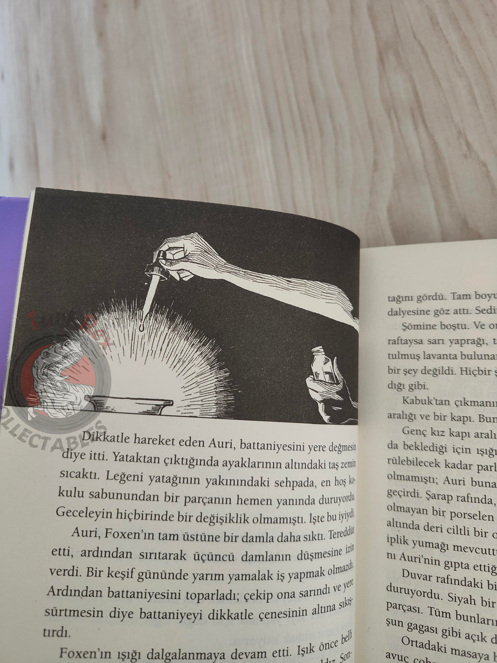 Patrick Rothfuss  – The Slow Regard of Silent Things 2015 1st Turkish Book Turkey