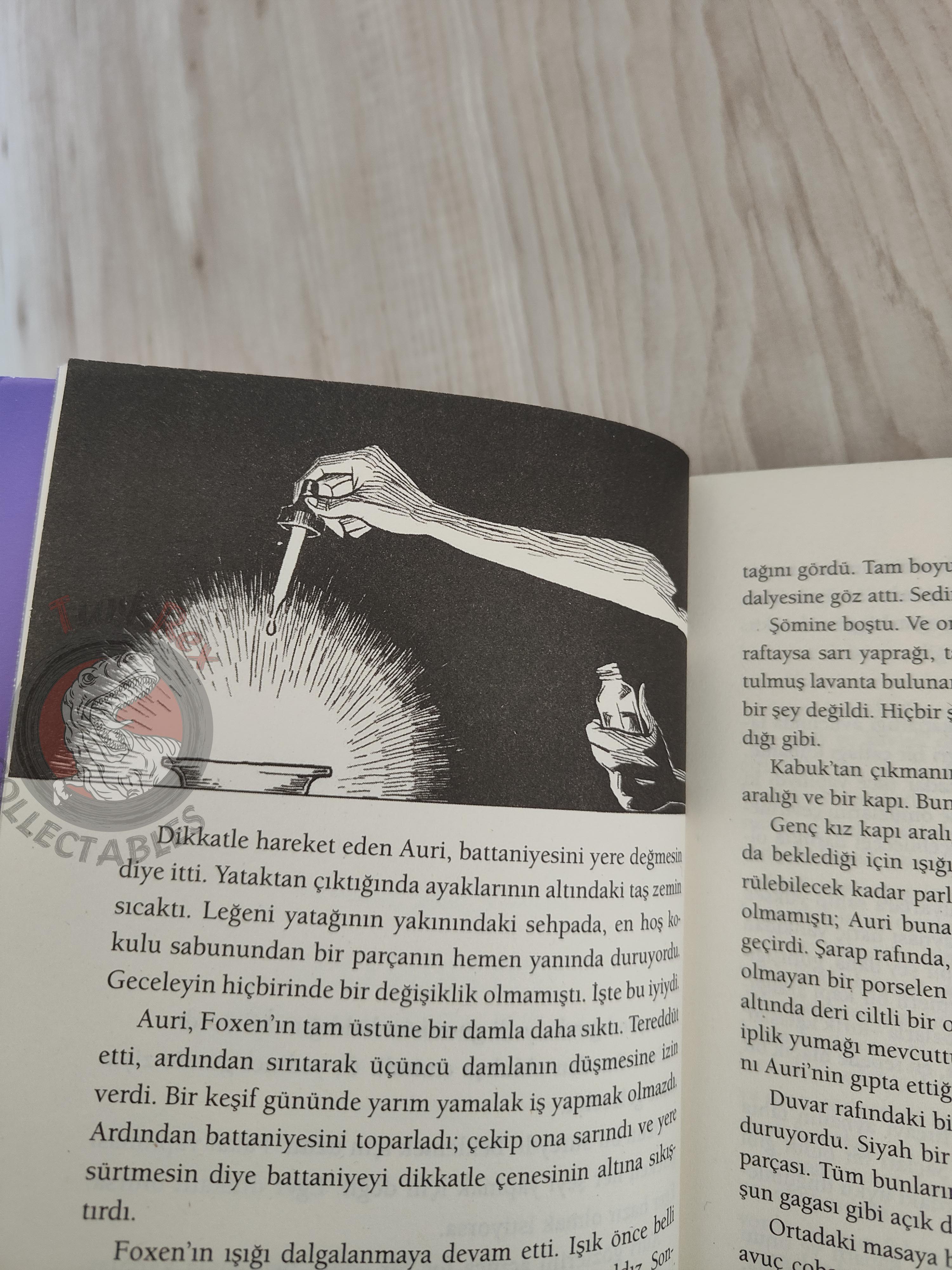 Patrick Rothfuss  – The Slow Regard of Silent Things 2015 1st Turkish Book Turkey