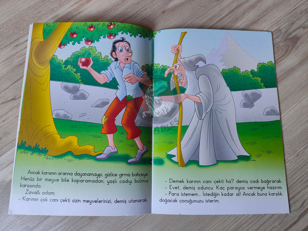 Grimm Brothers – Rapunzel 2011 Turkish Book Turkey Illustrated
