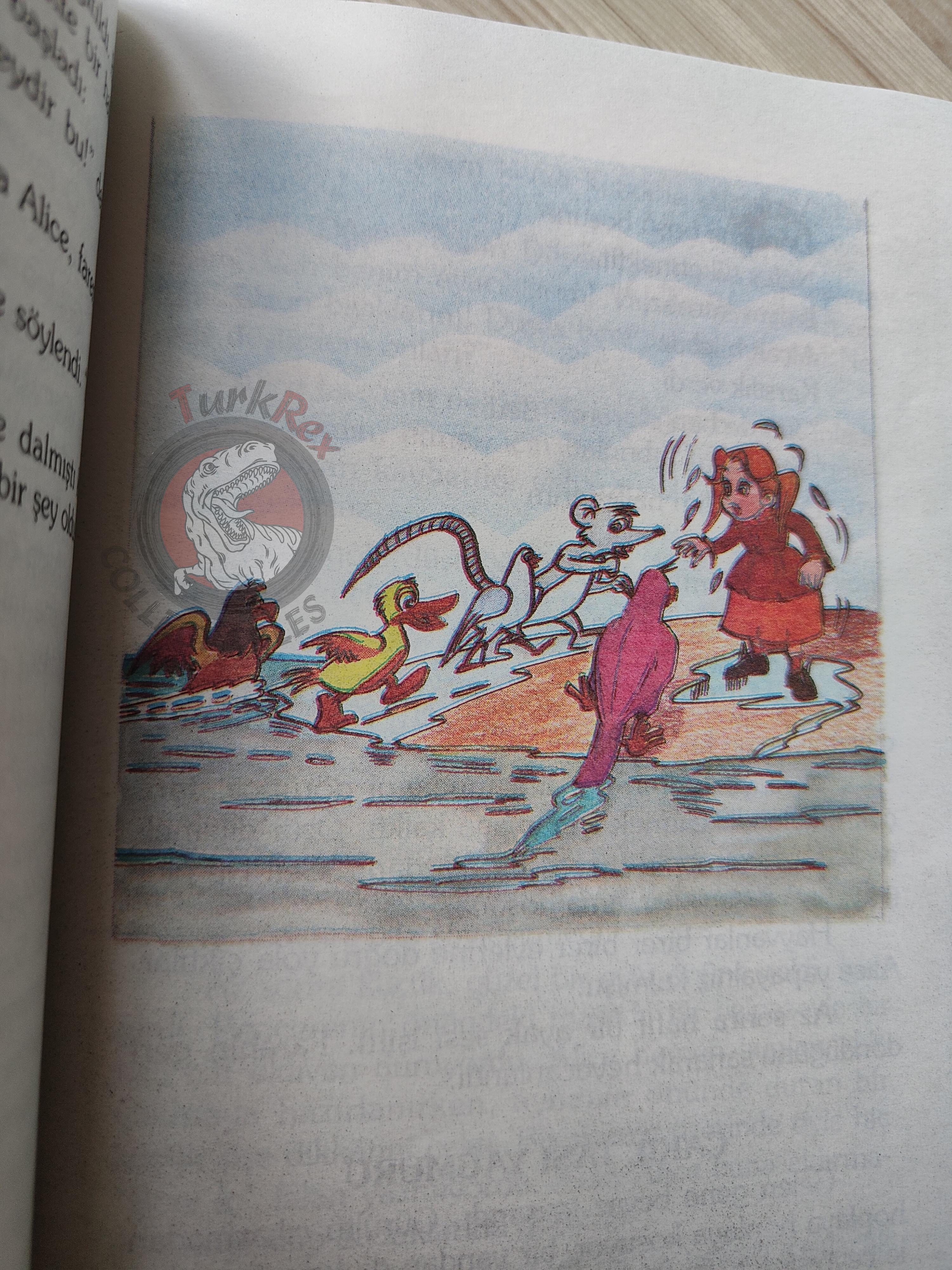 Lewis Carroll – Alice in Wonderland 1996 Turkish Book Turkey Illustrated