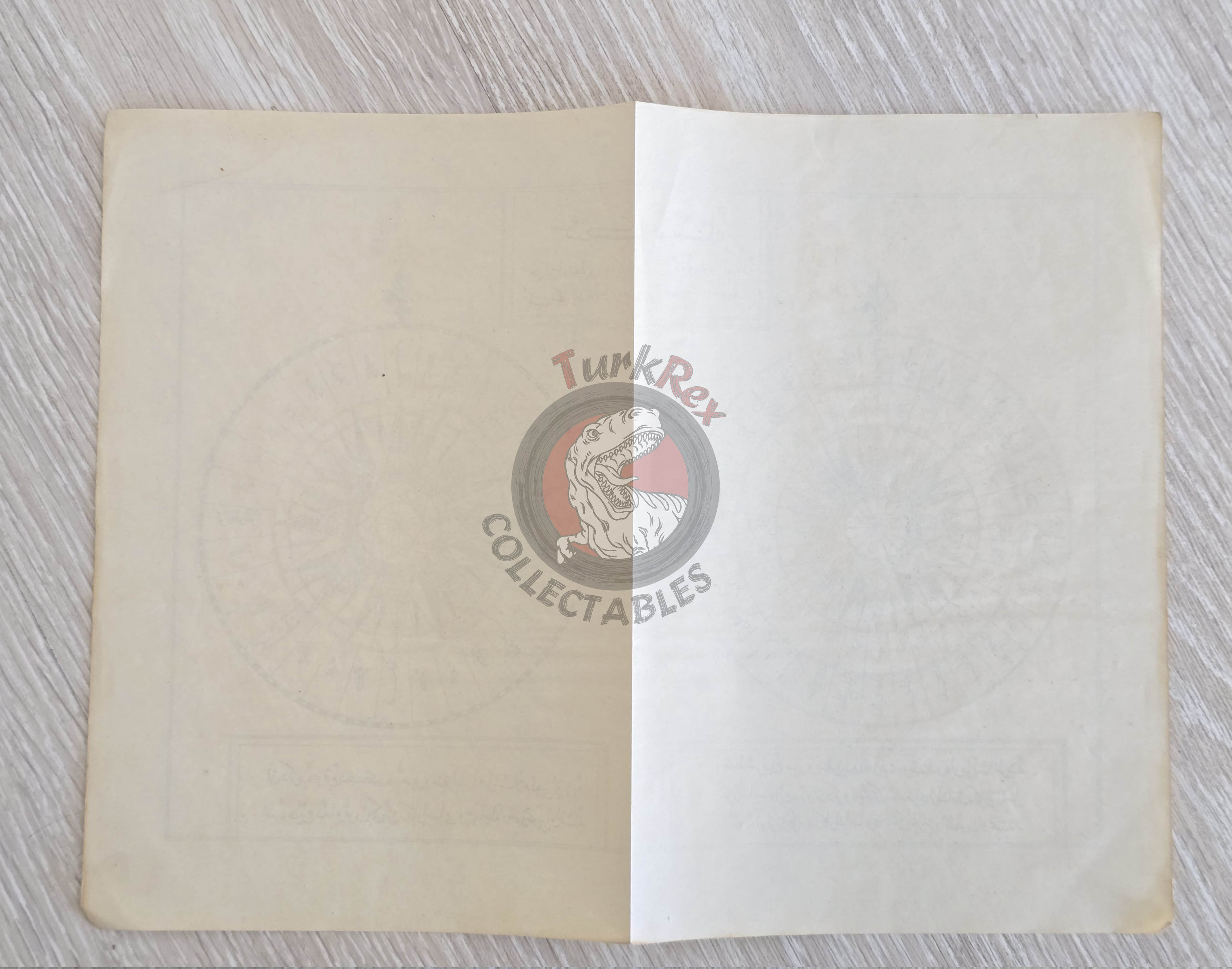 Ottoman Empire Wind Chart Compass Rose Diagram 1913 Katip Çelebi Mediterranean Black Sea