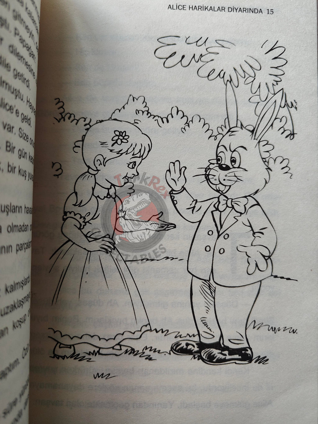Lewis Carroll – Alice in Wonderland 2000s Turkish Book Turkey Illustrated 2