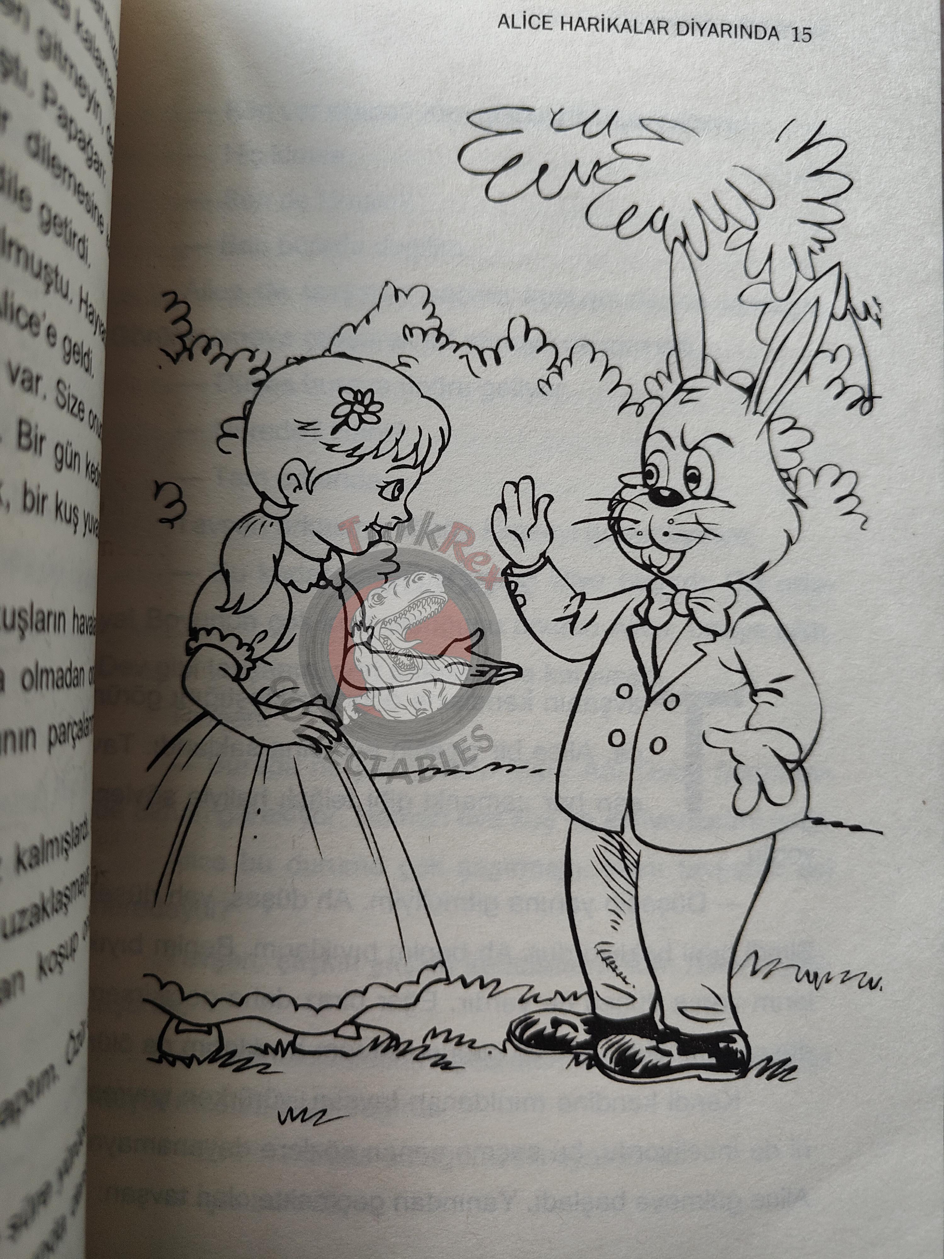Lewis Carroll – Alice in Wonderland 2000s Turkish Book Turkey Illustrated 2