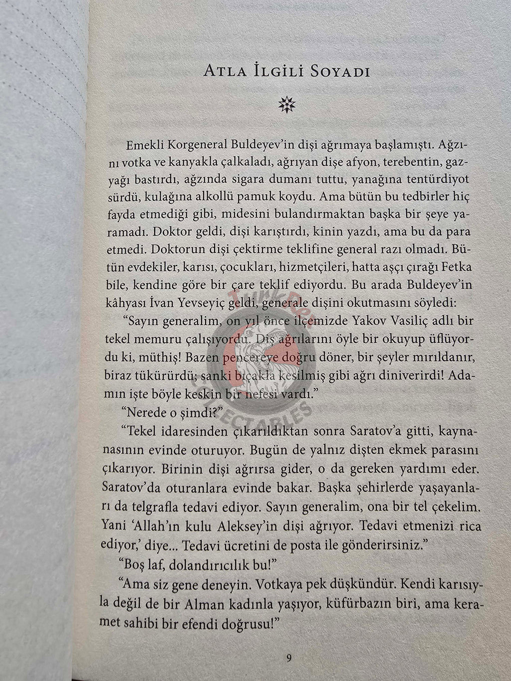 Anton Chekhov – Selected Stories: Tales of Country Life 2017 Turkish Book Turkey
