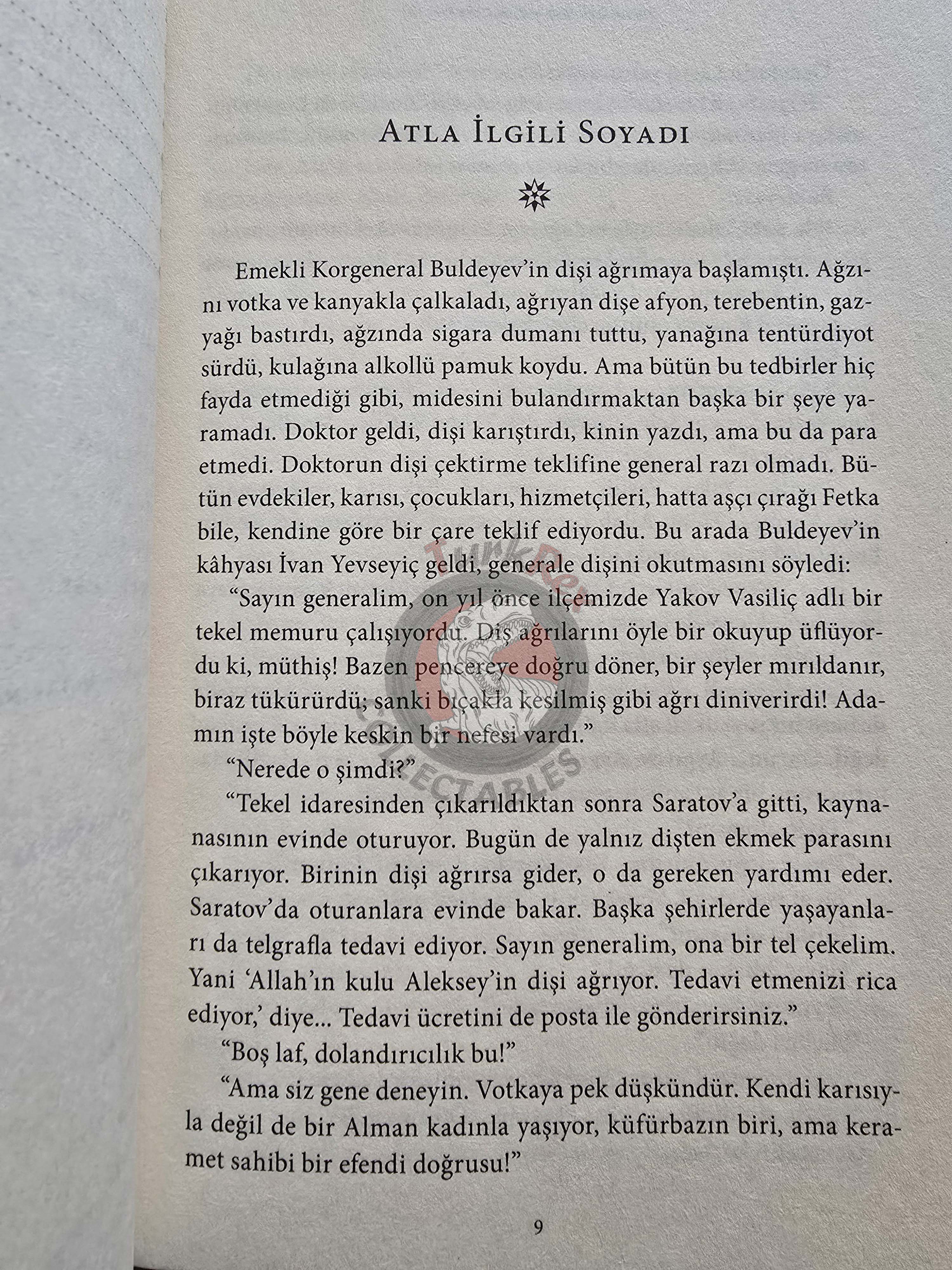 Anton Chekhov – Selected Stories: Tales of Country Life 2017 Turkish Book Turkey