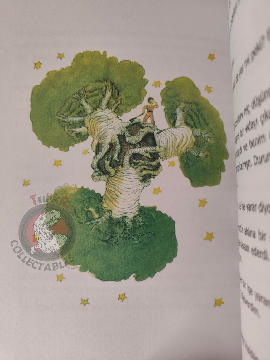 Antoine de Saint-Exupéry – Le Petit Prince 2012 Turkish Book Turkey Illustrated Little
