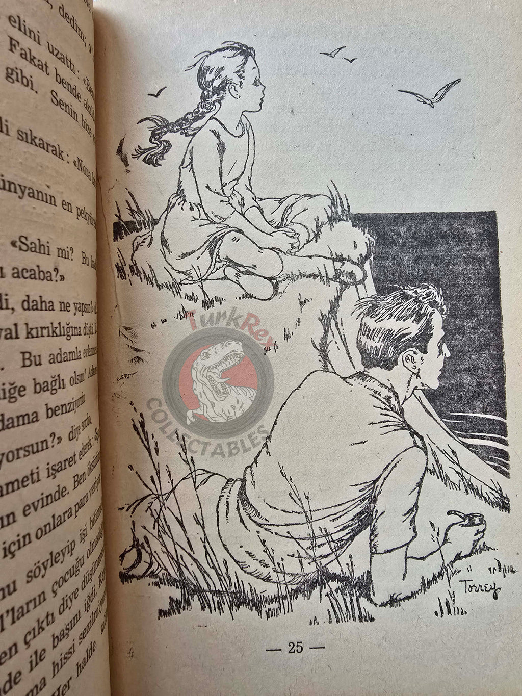 Doris Gates – Sensible Kate 1959 Turkish Book Turkey Illustrated