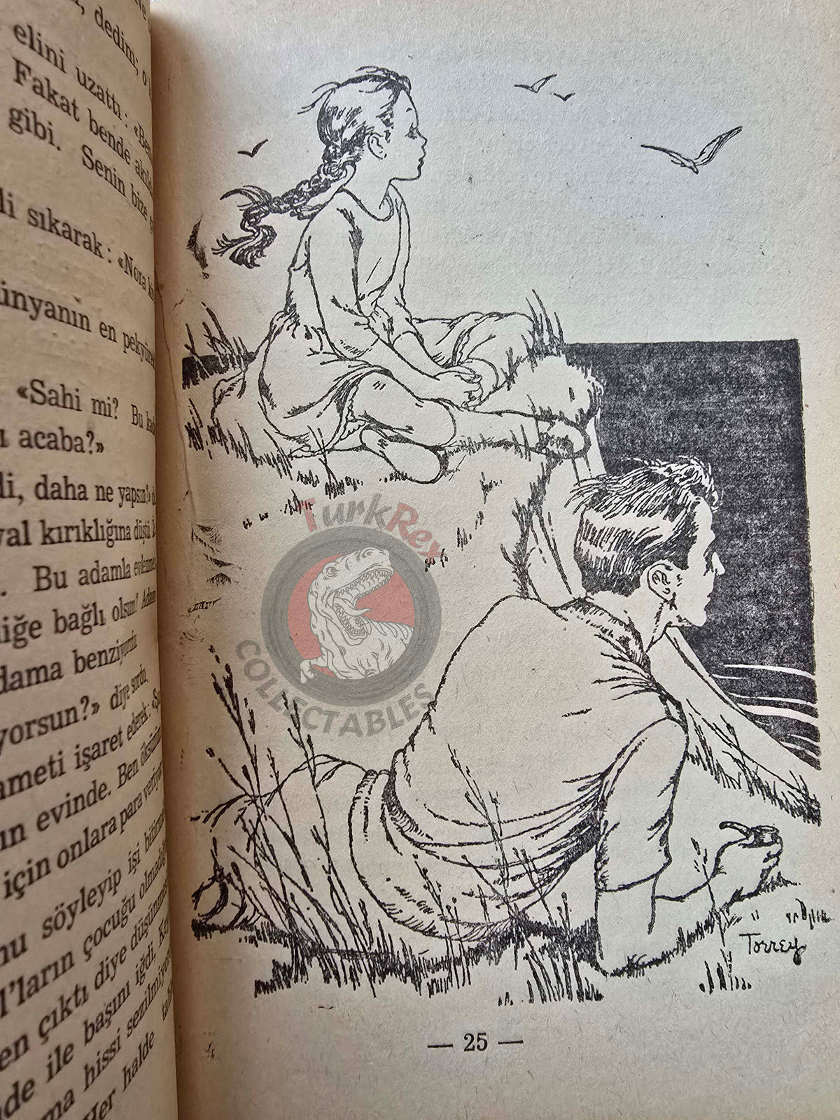 Doris Gates – Sensible Kate 1959 Turkish Book Turkey Illustrated