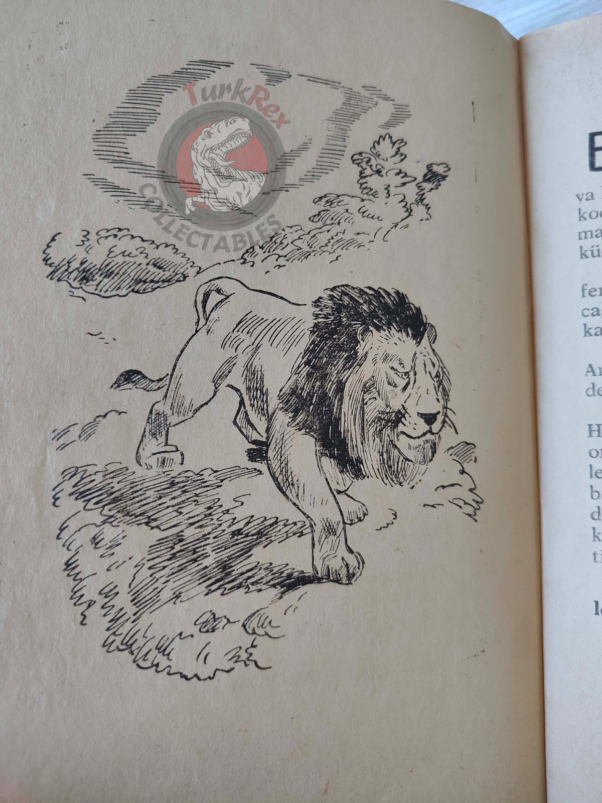 Jean de La Fontaine – Stories from Fables 1962 Turkish Book Turkey Illustrated The Lion