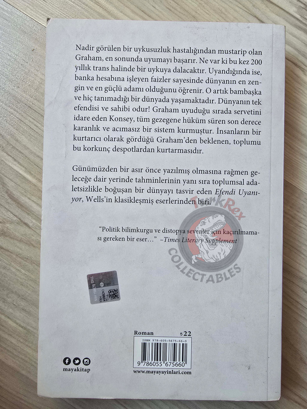 H. G. Wells – The Sleeper Awakes Turkish Book Turkey