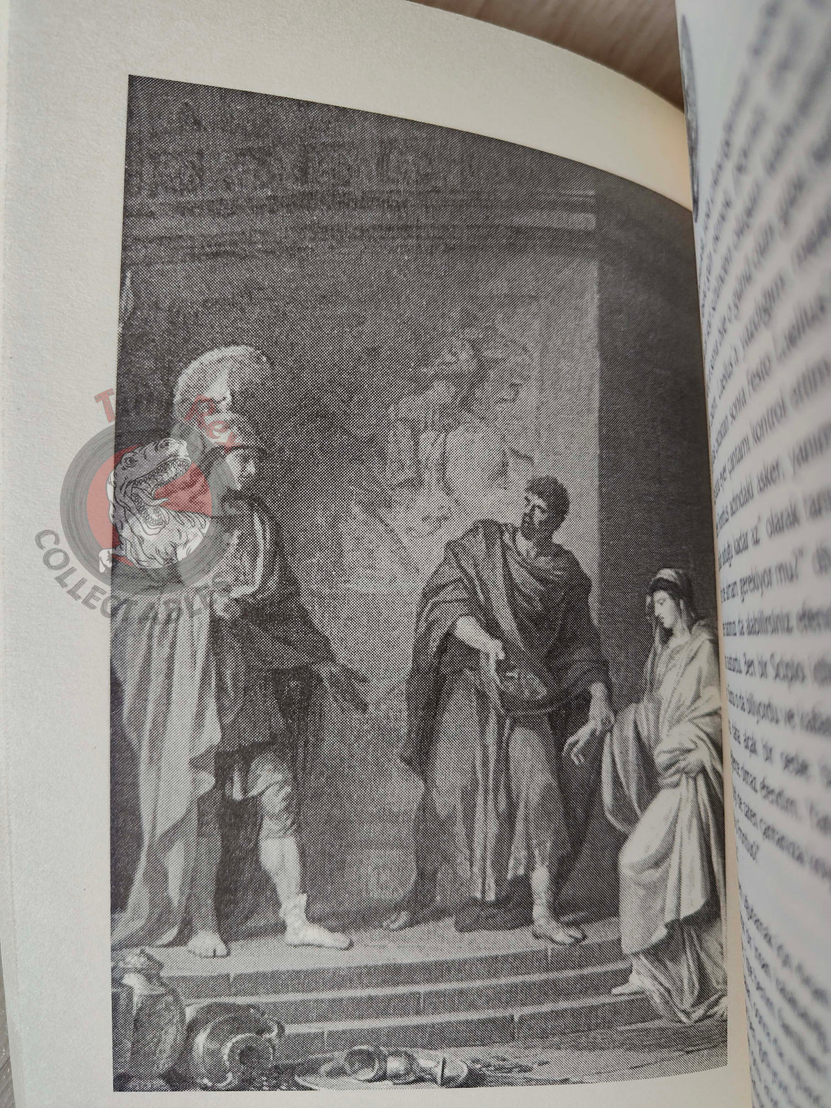 Ross Leckie – Scipio 2007 Turkish Book Turkey Illustrated