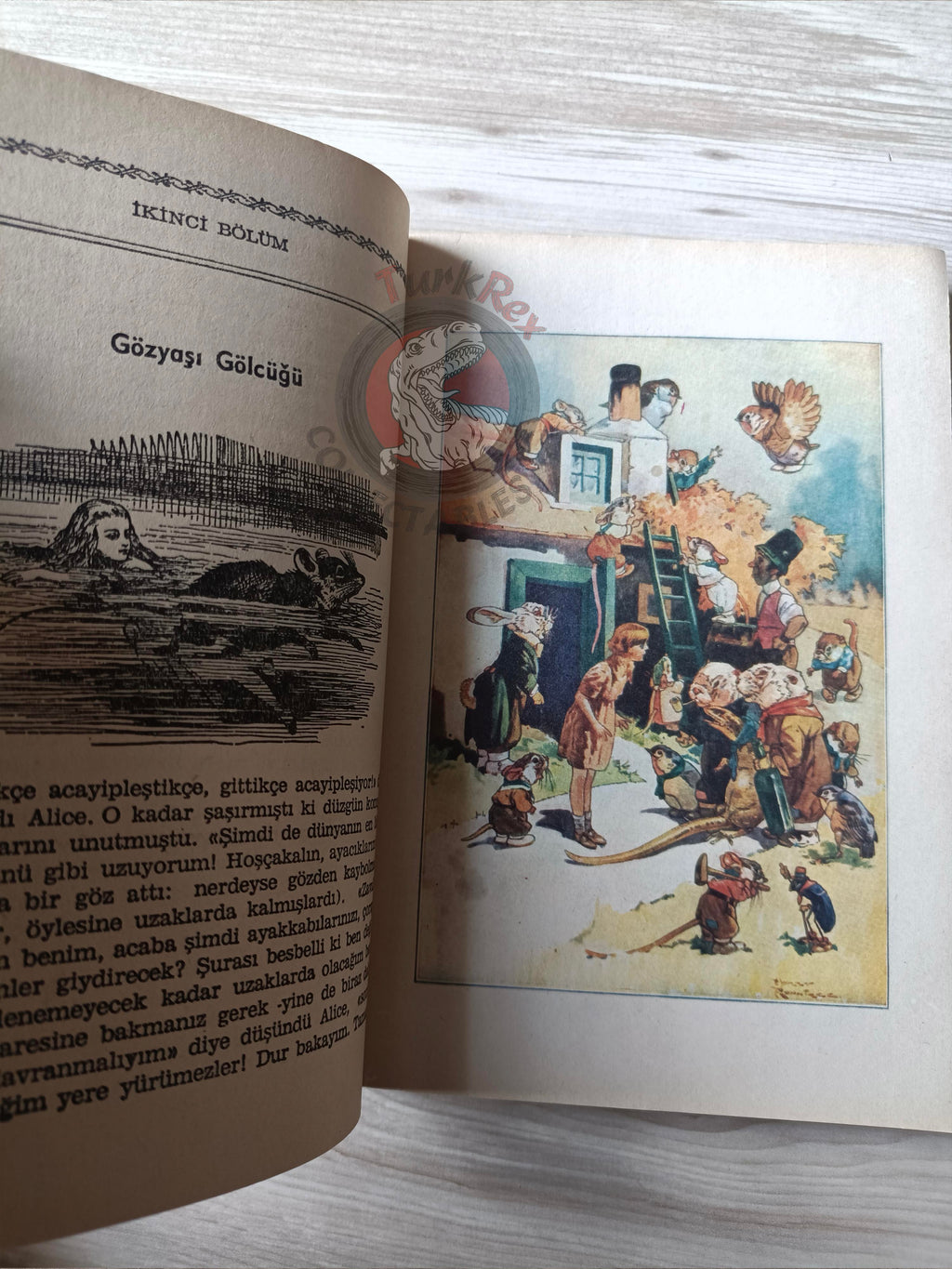 Lewis Carroll – Alice in Wonderland 1985 Turkish Book Turkey Illustrated John Tenniel