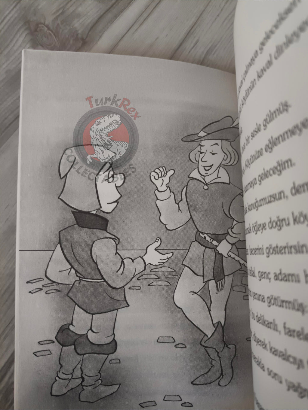 Grimm Brothers – Pied Piper of Hamelin 2009 Turkish Book Turkey Illustrated